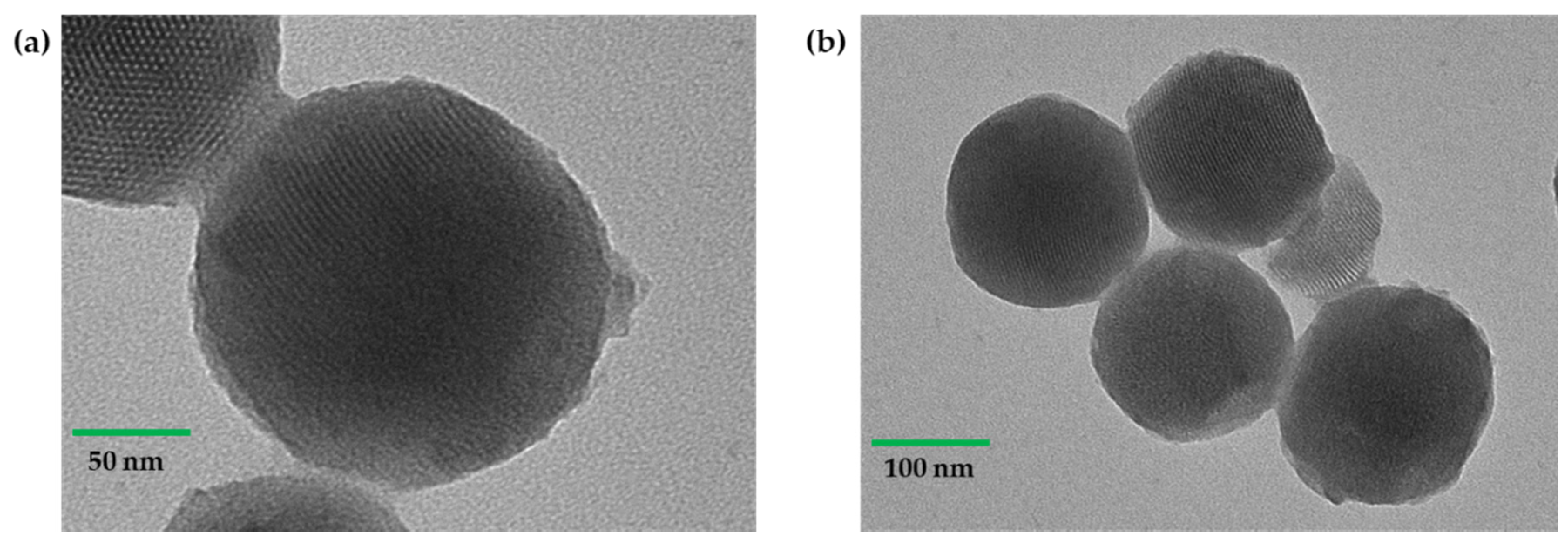 Molecules 26 00219 g002