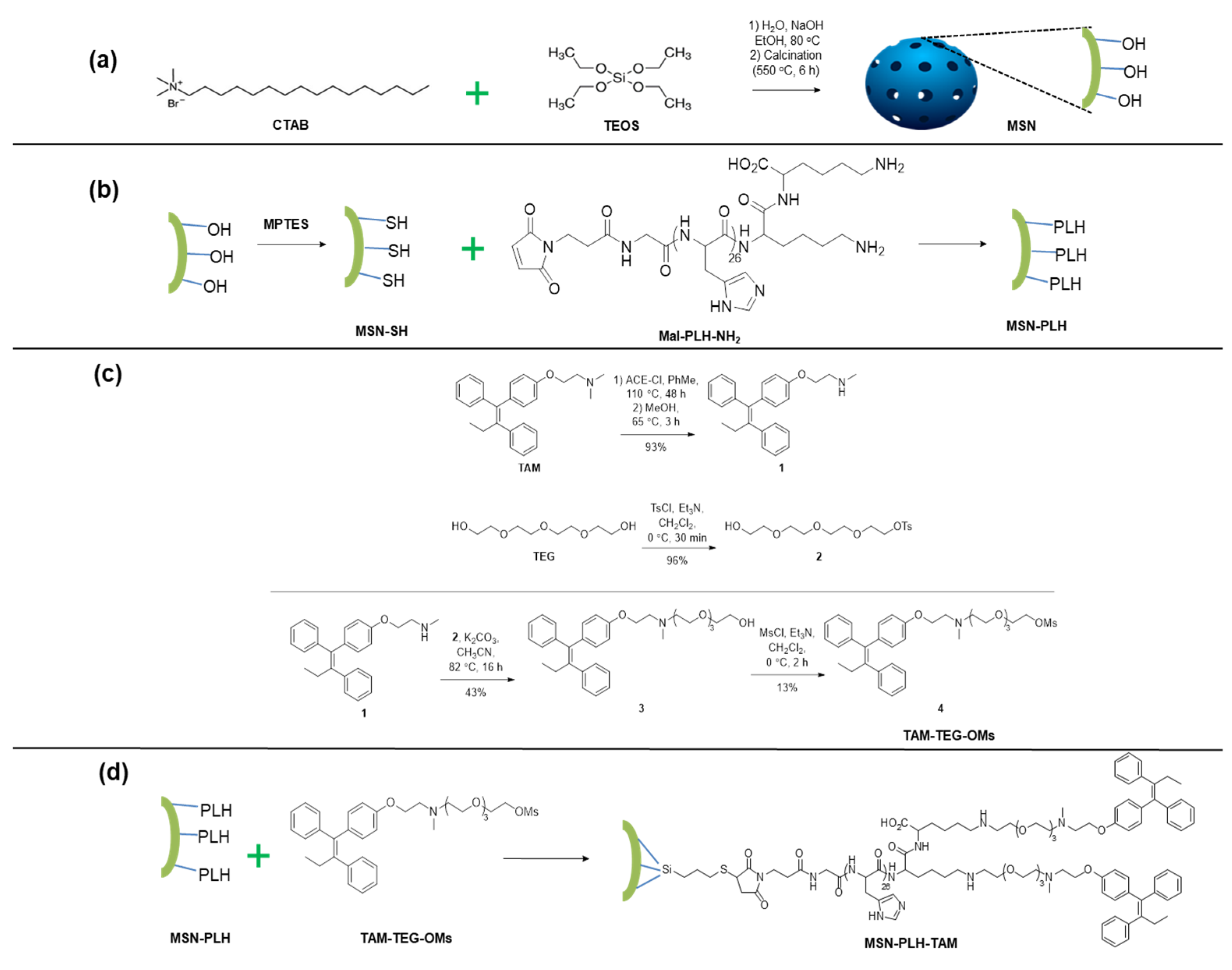 Molecules 26 00219 sch001