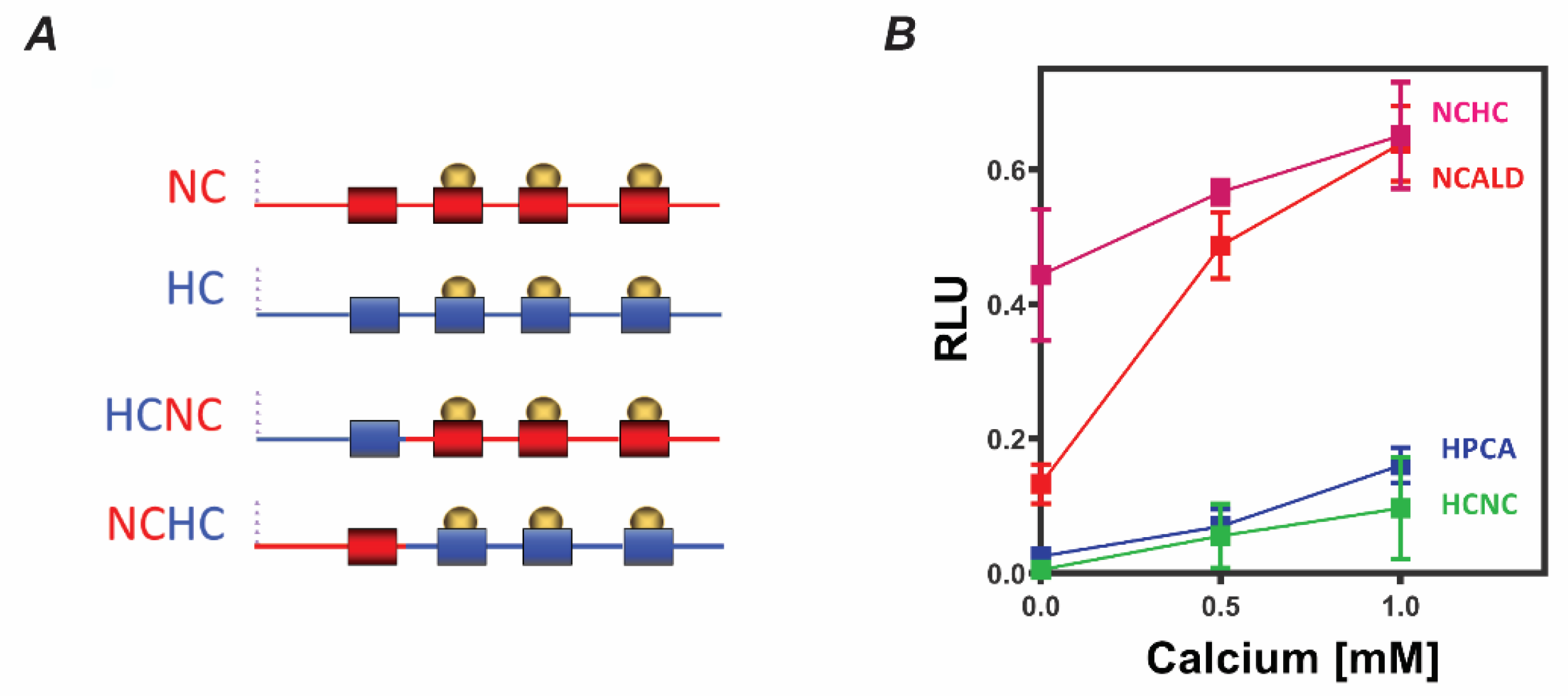 Molecules 26 00227 g002