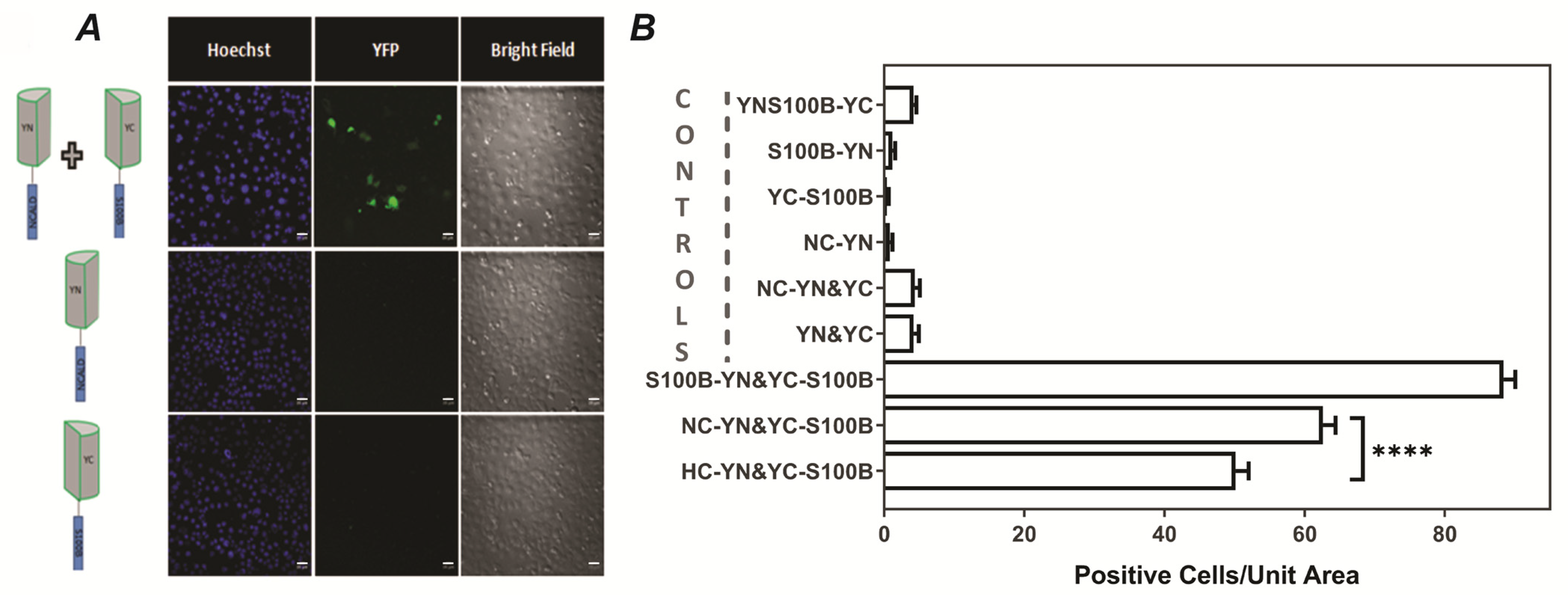 Molecules 26 00227 g003