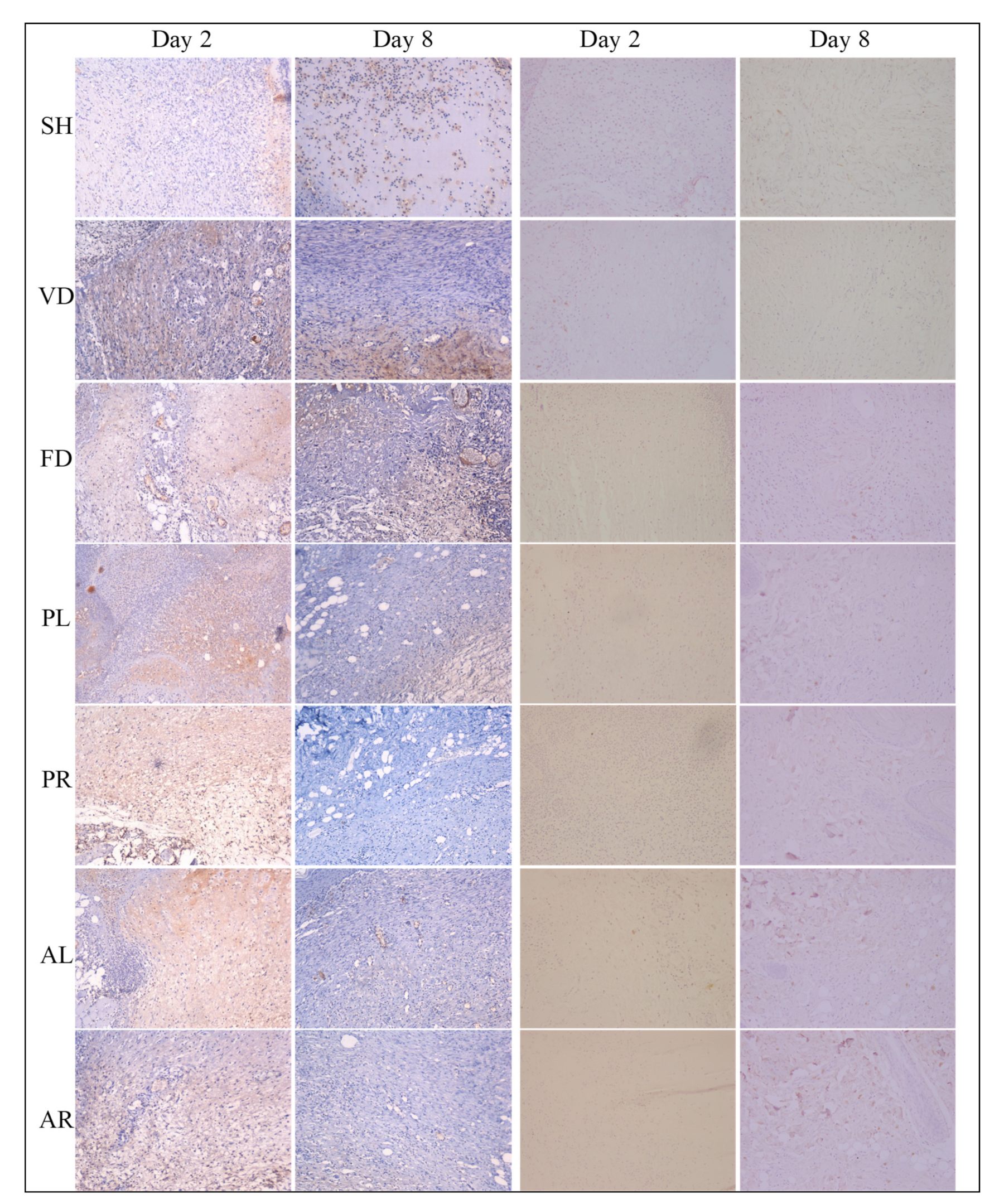 Molecules 26 00228 g007
