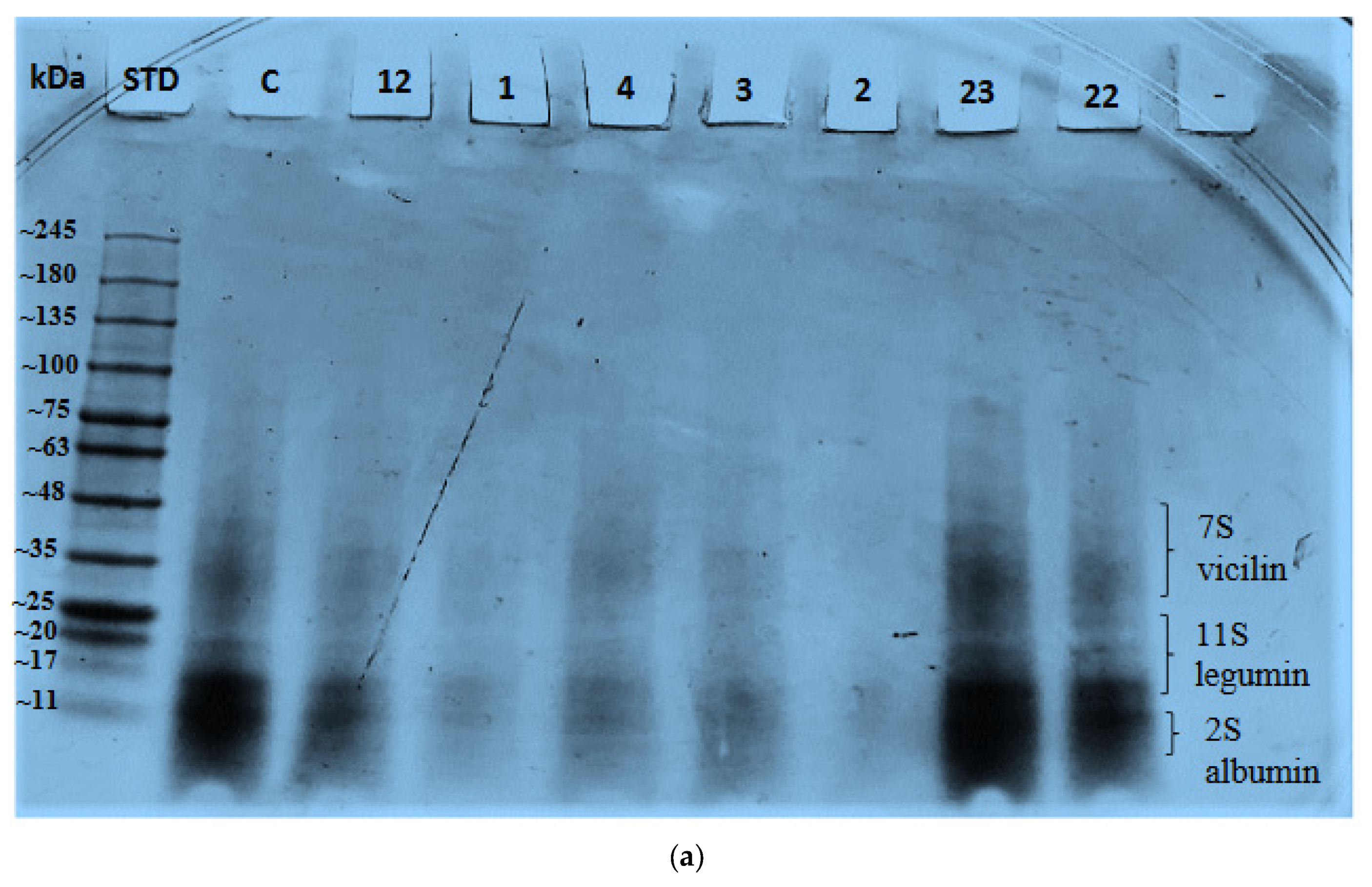 Molecules 26 00234 g004a Molecules 26 00234 g004a