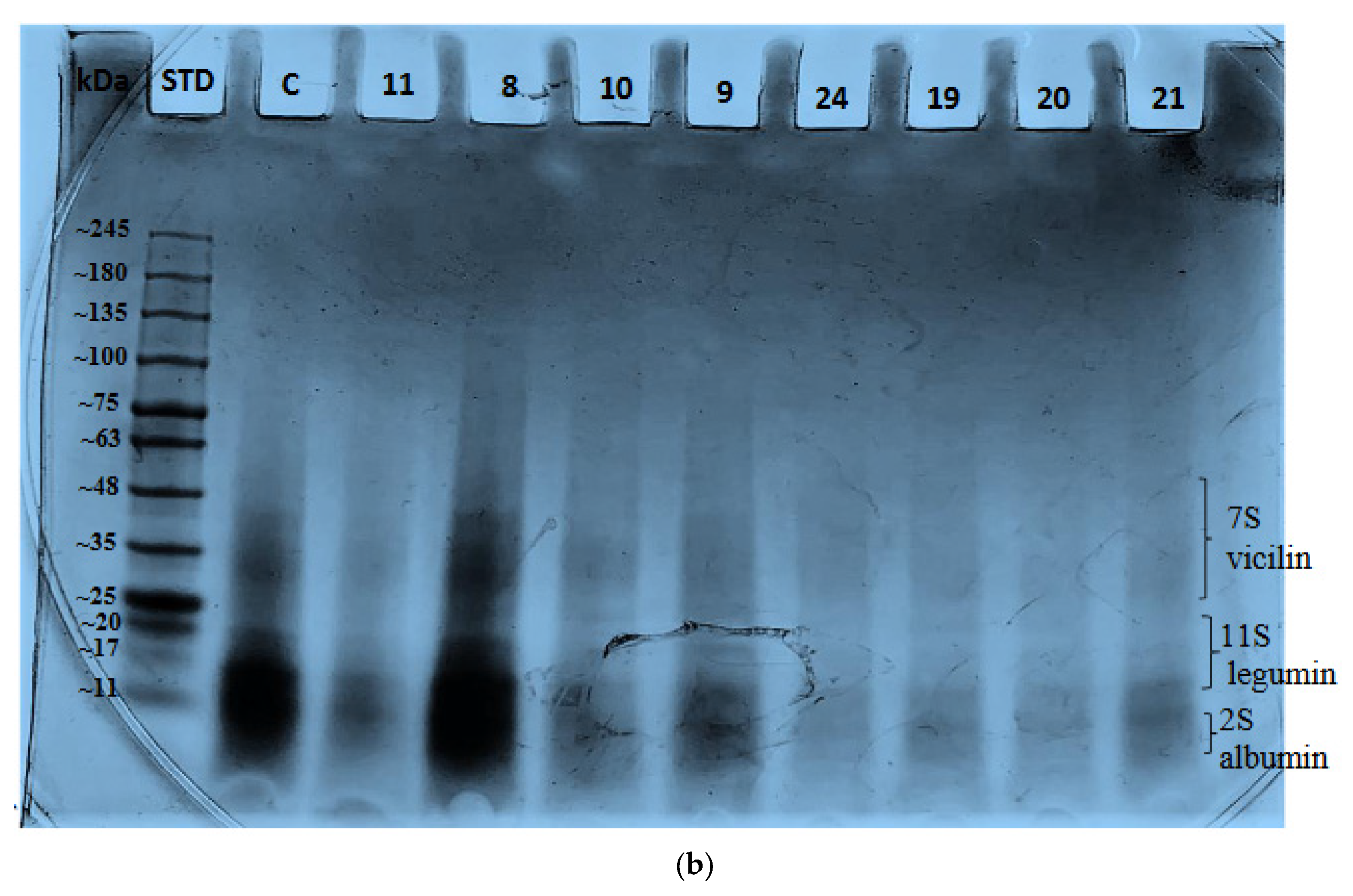 Molecules 26 00234 g004b Molecules 26 00234 g004b