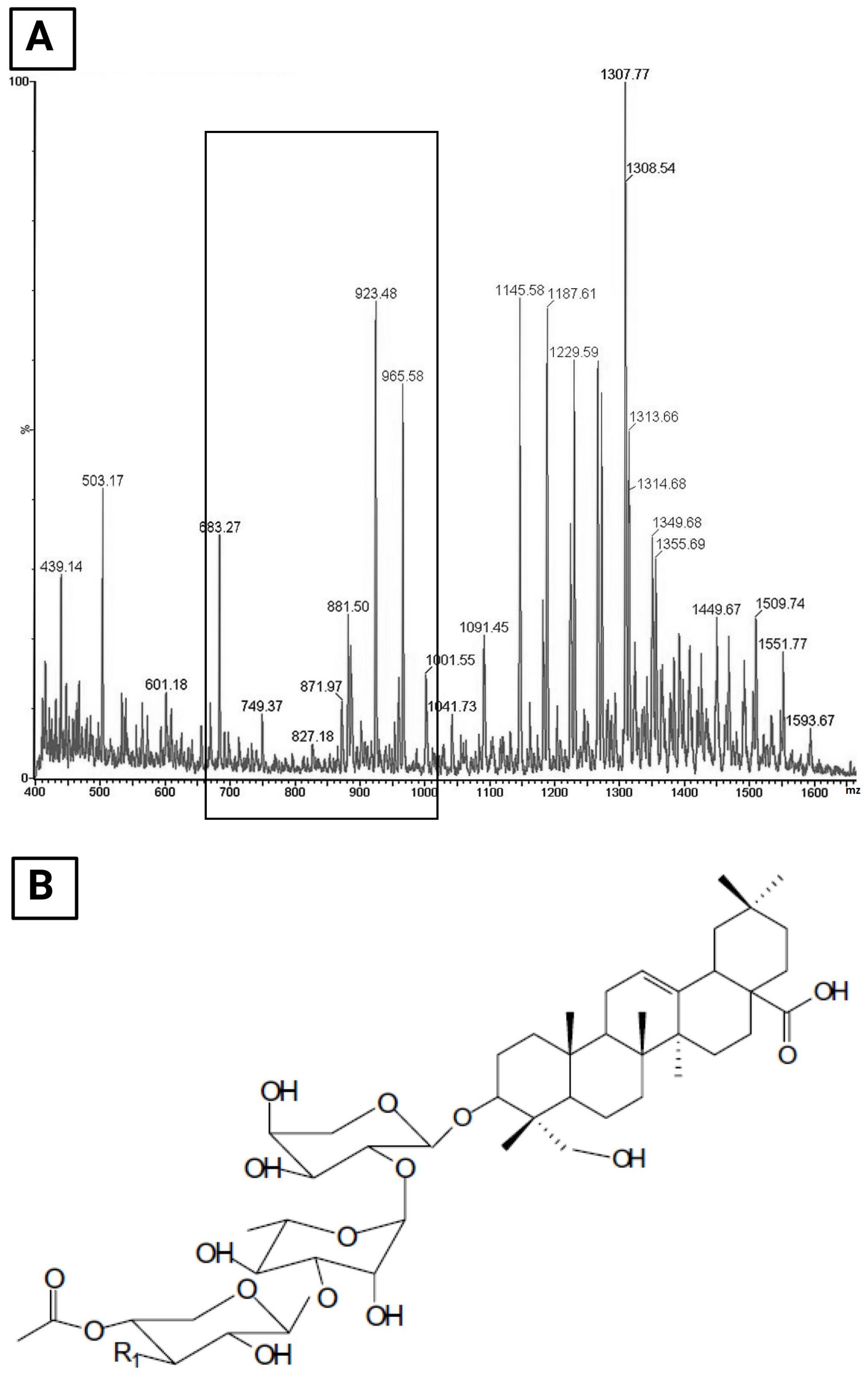 Molecules 26 00236 g001 Molecules 26 00236 g001