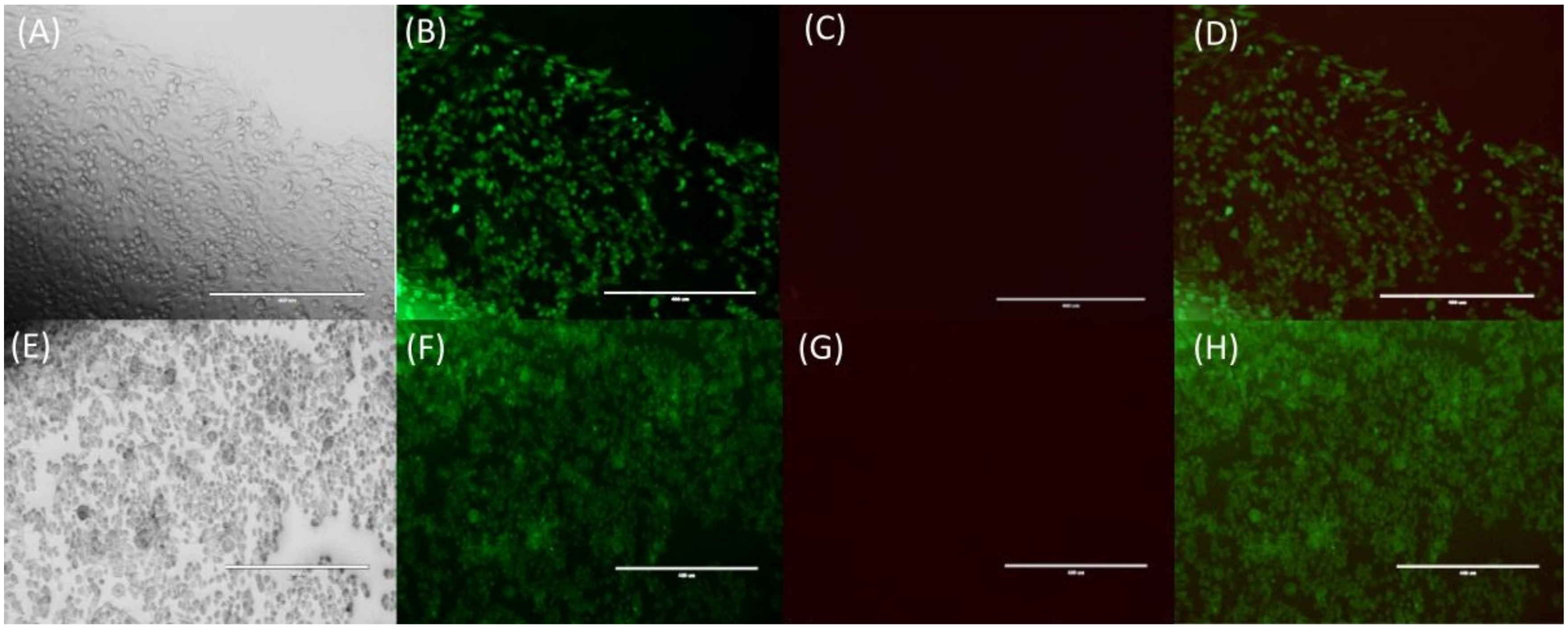 Molecules 26 00236 g002 Molecules 26 00236 g002