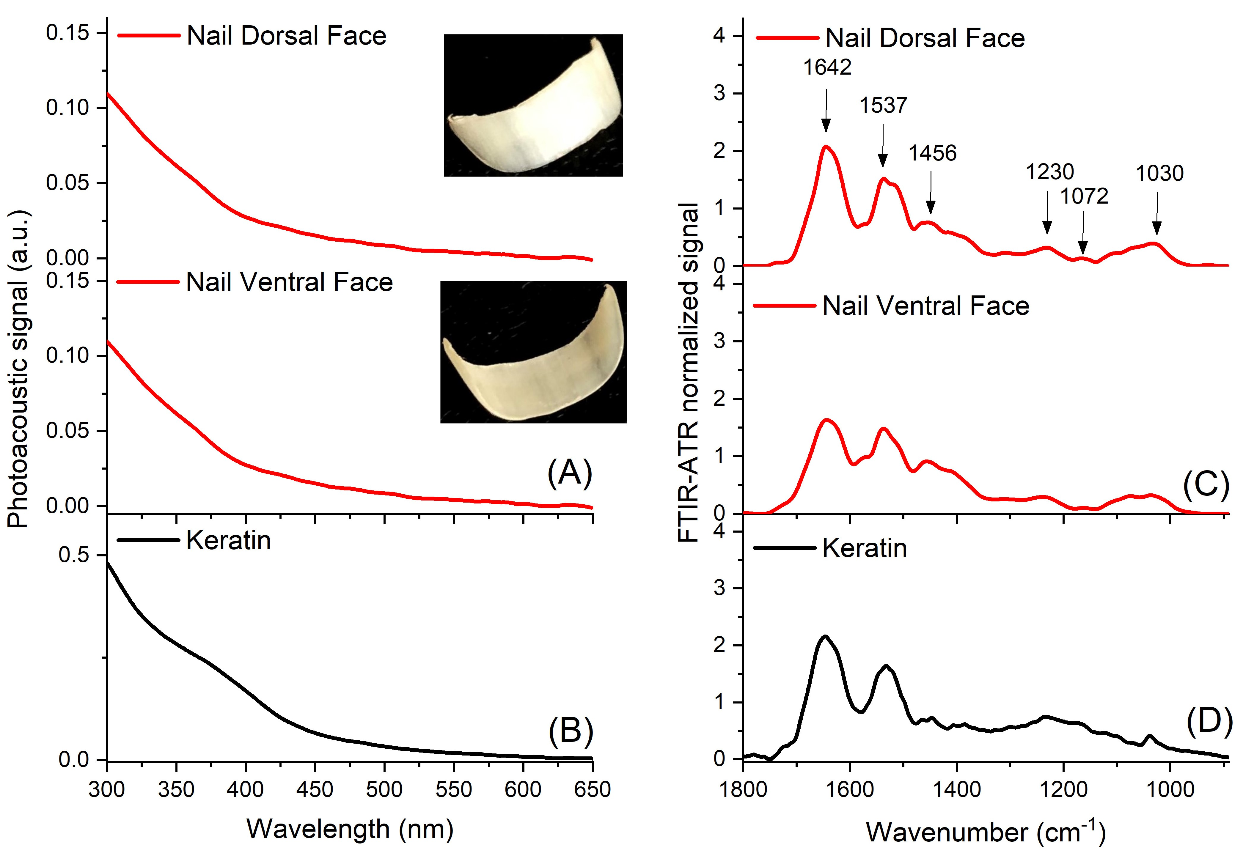 Molecules 26 00236 g005 Molecules 26 00236 g005