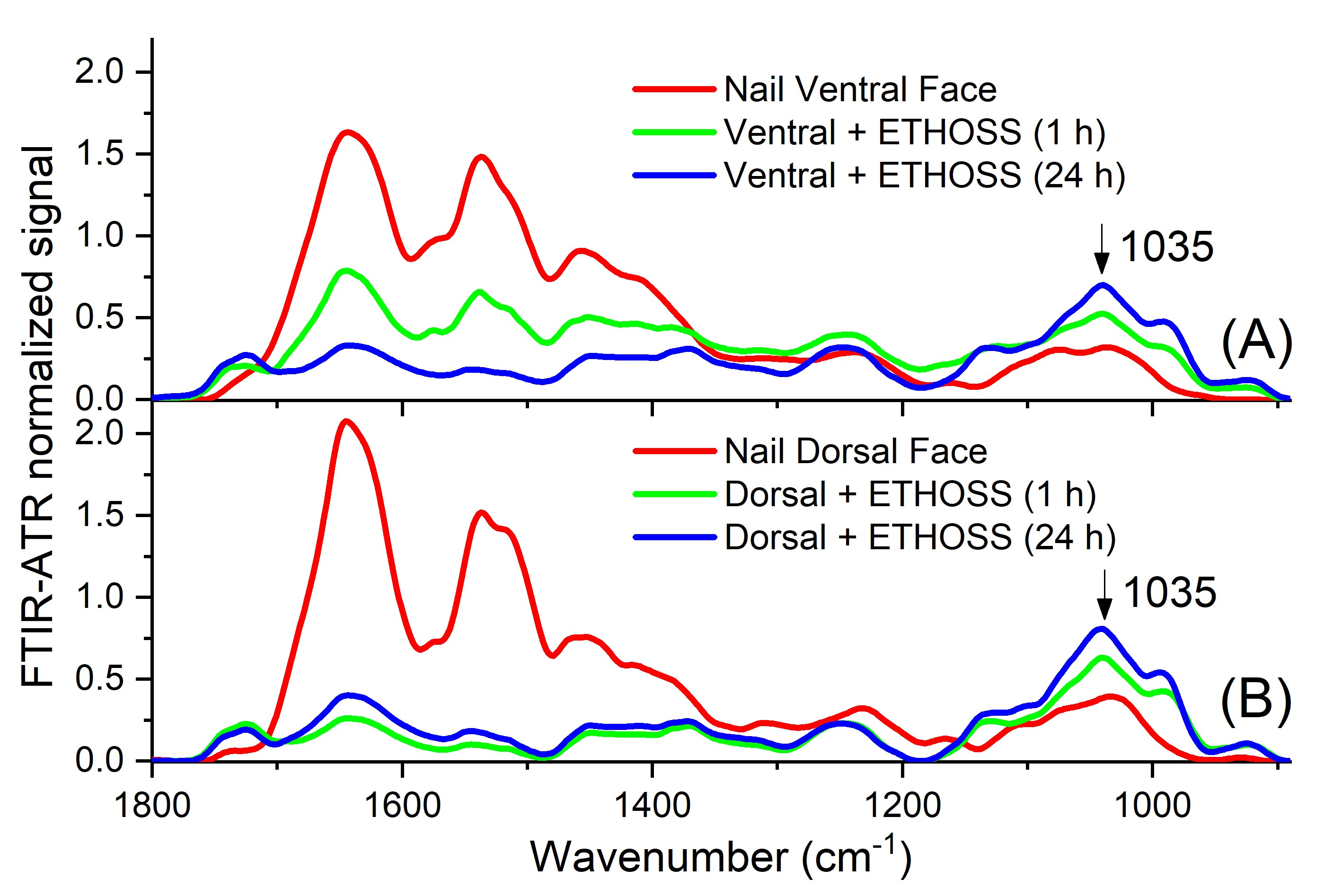 Molecules 26 00236 g007 Molecules 26 00236 g007