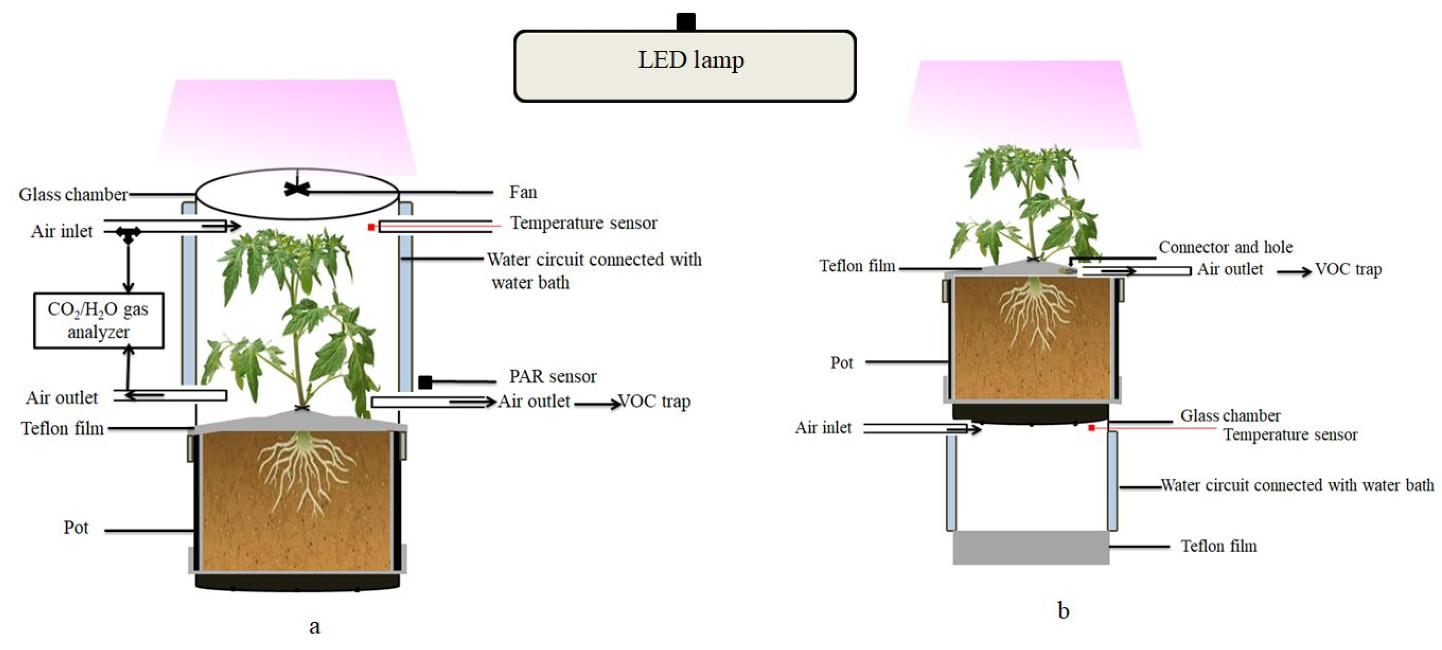 Molecules 26 00237 g004 Molecules 26 00237 g004
