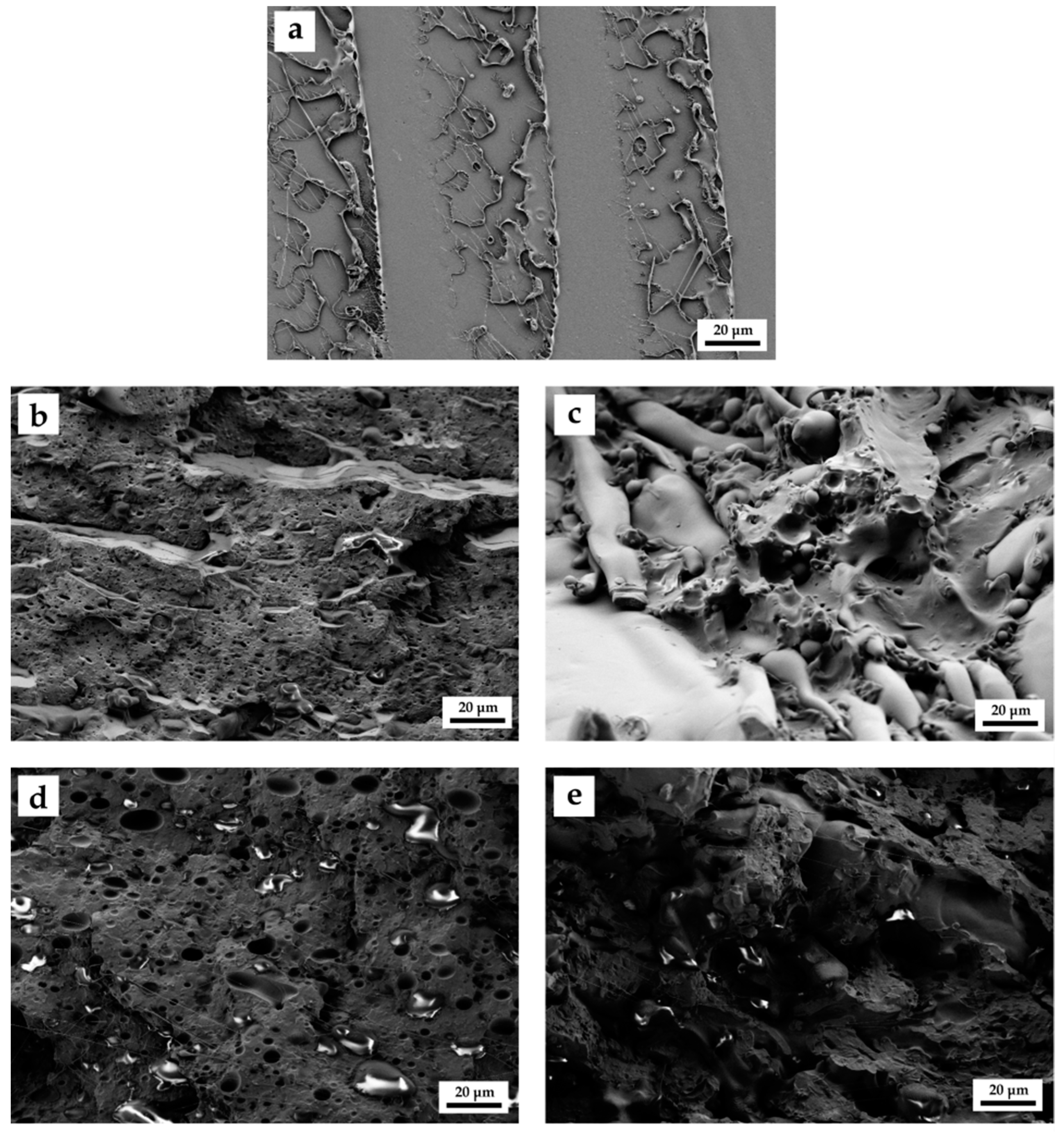 Molecules 26 00240 g002