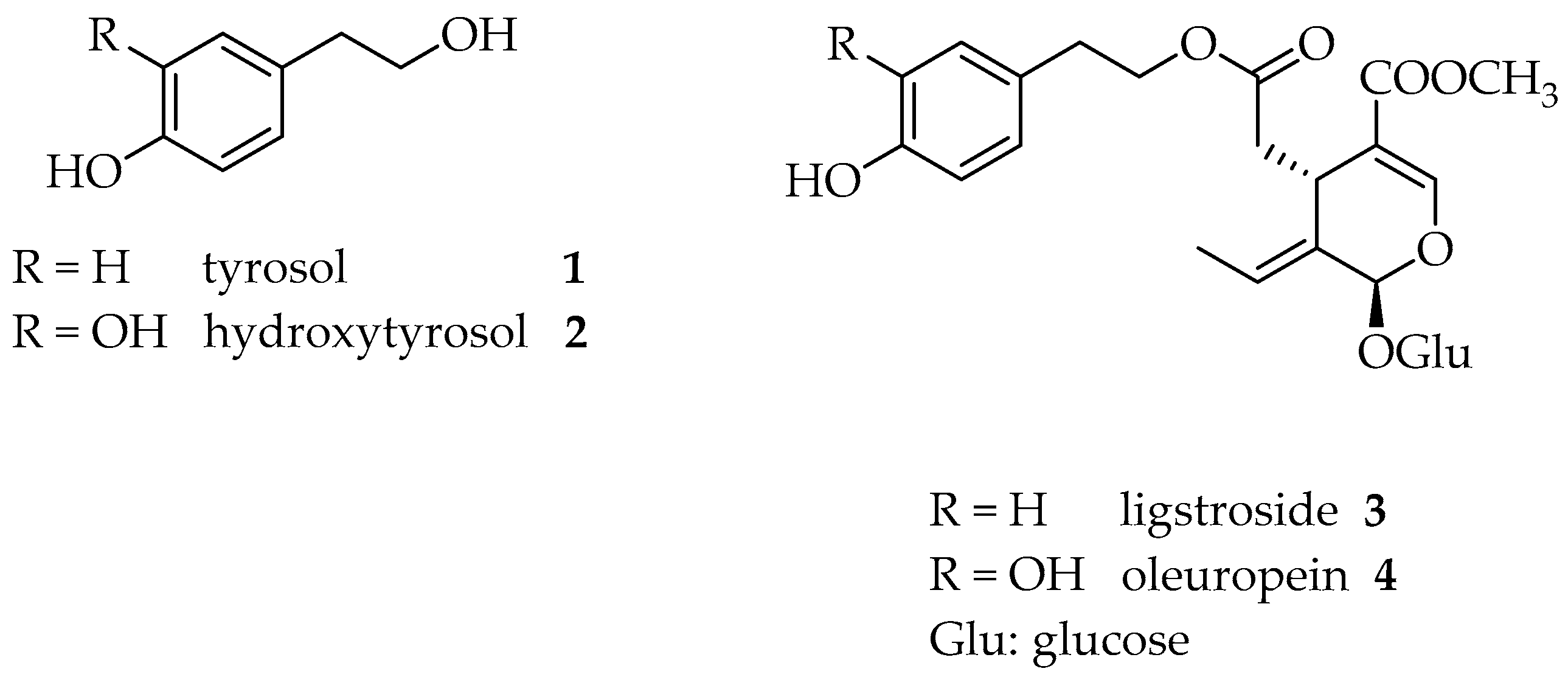 Molecules 26 00242 g001