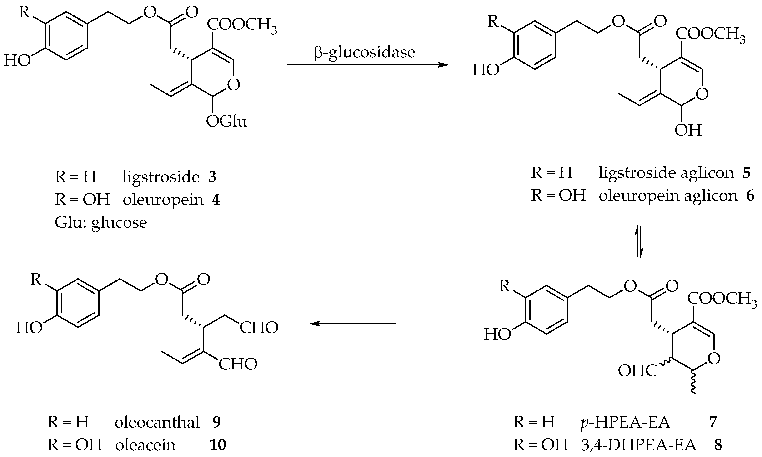 Molecules 26 00242 g002