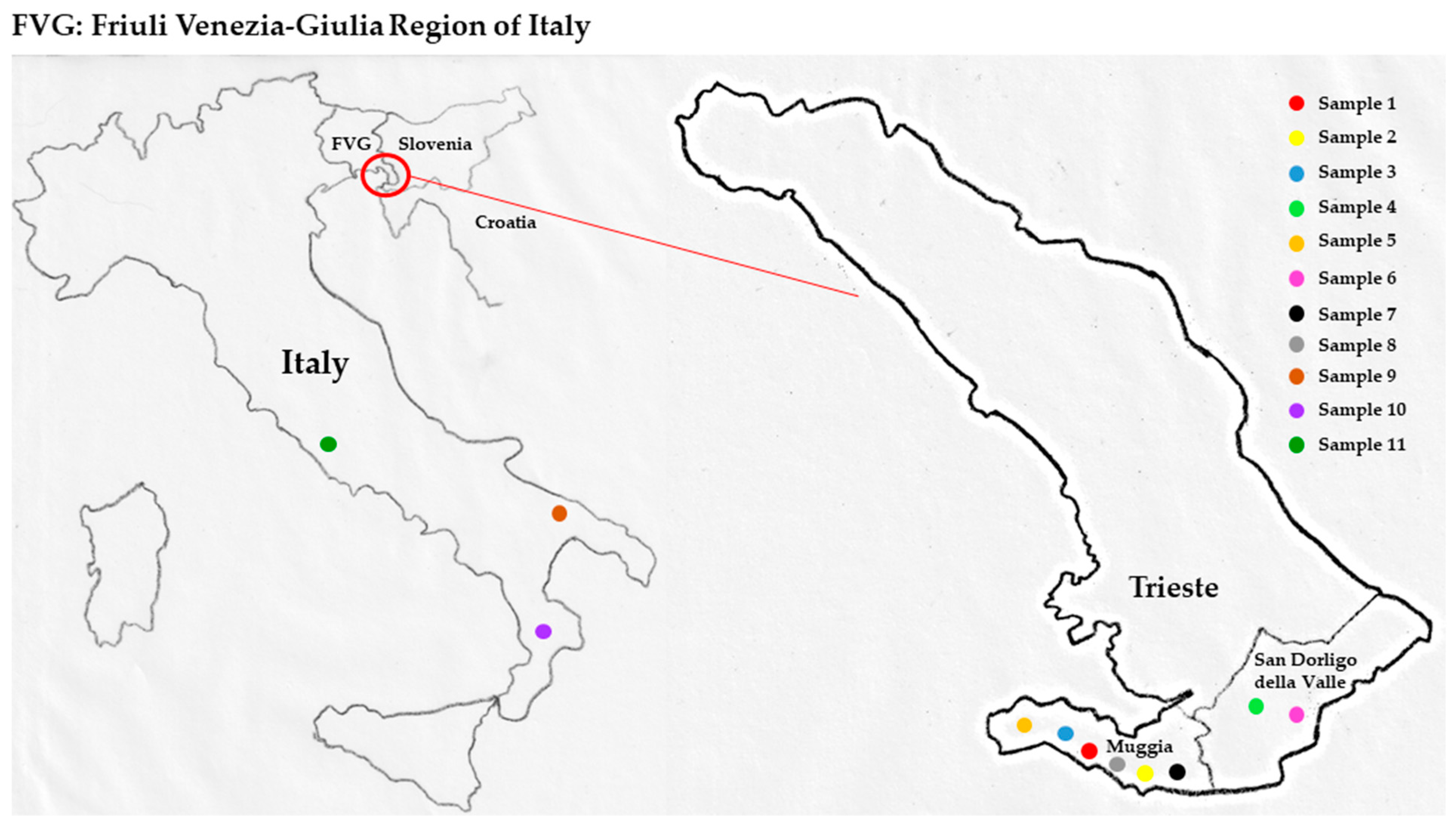 Molecules 26 00242 g012