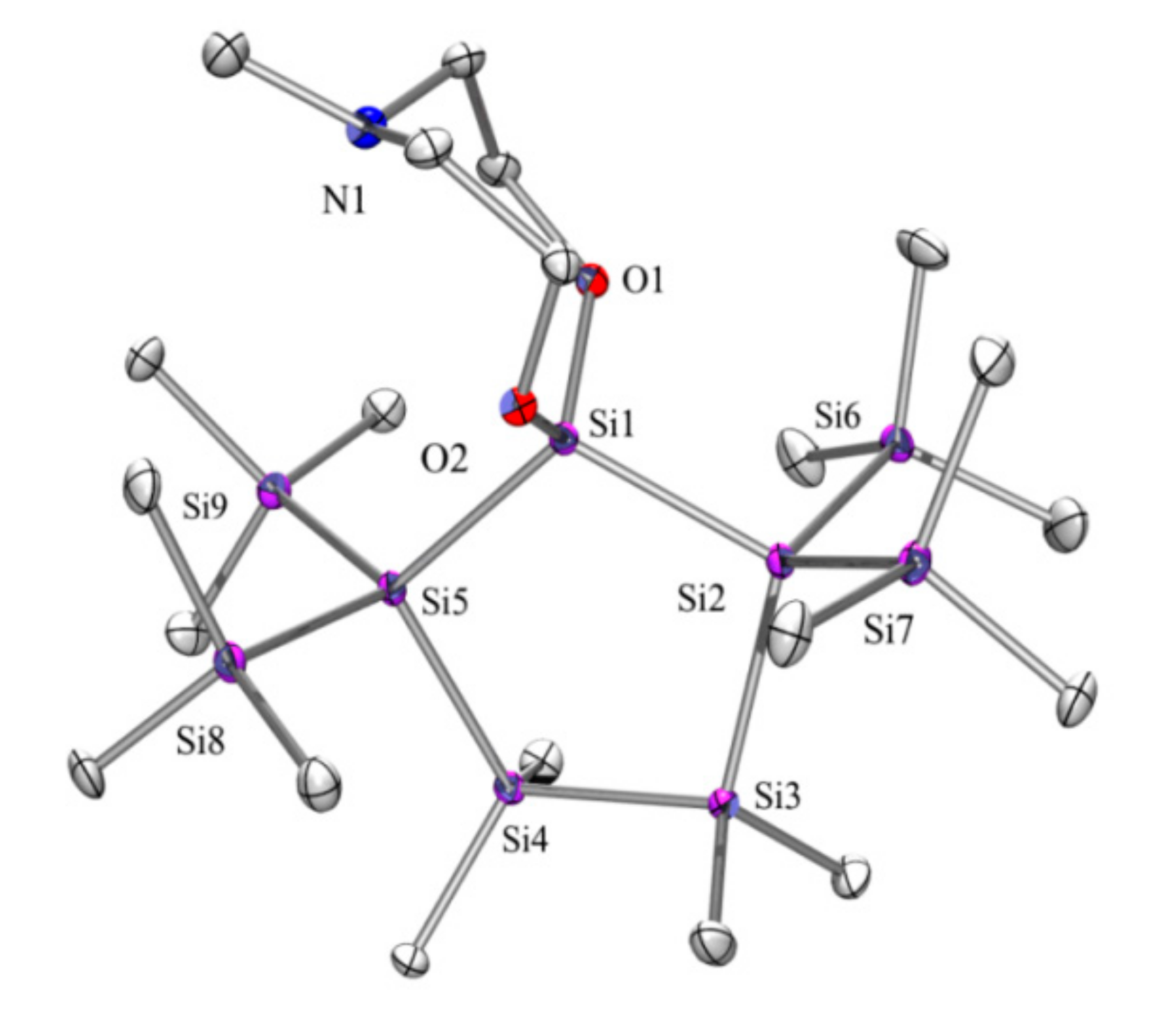 Molecules 26 00244 g004