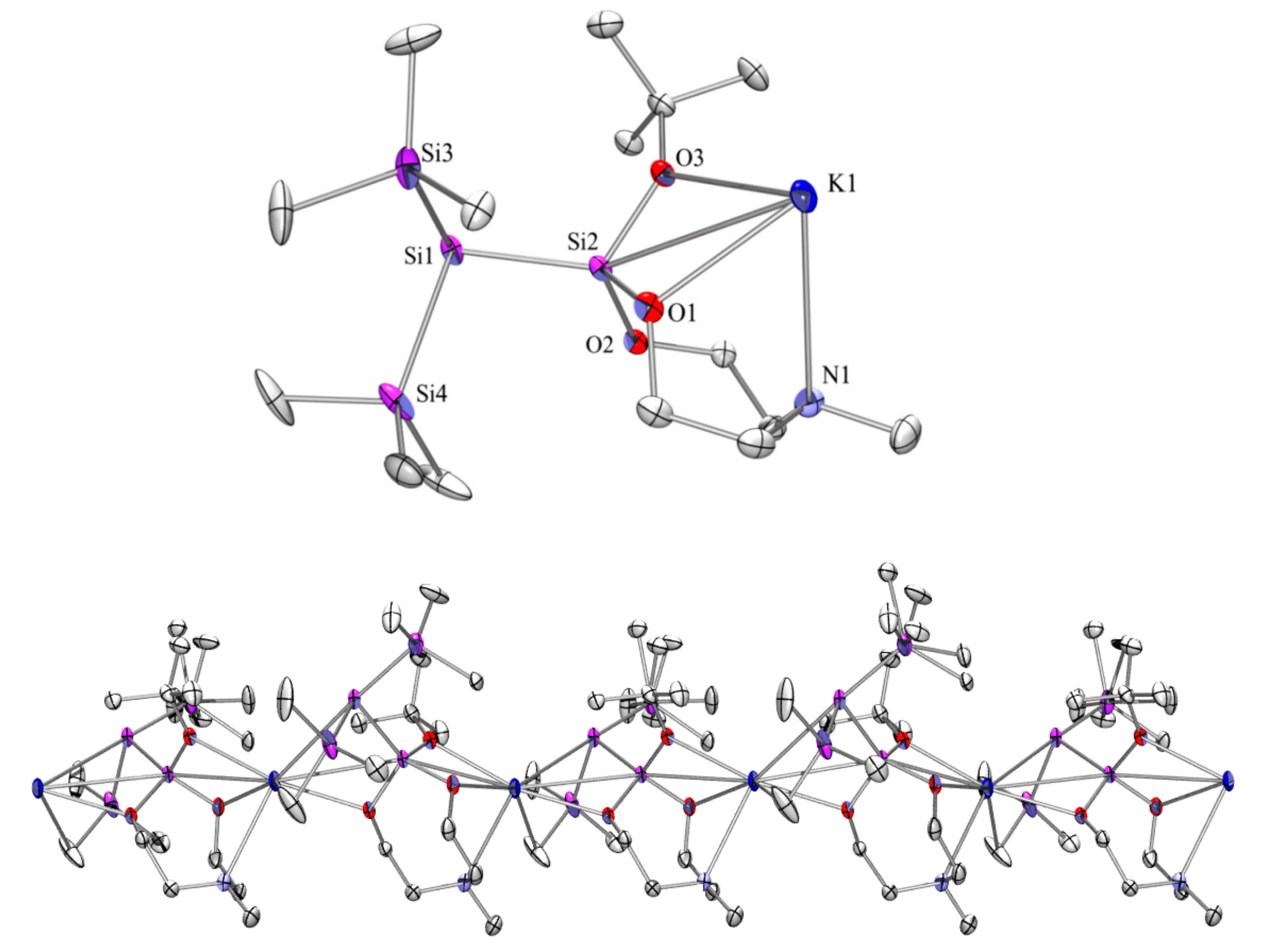 Molecules 26 00244 g006