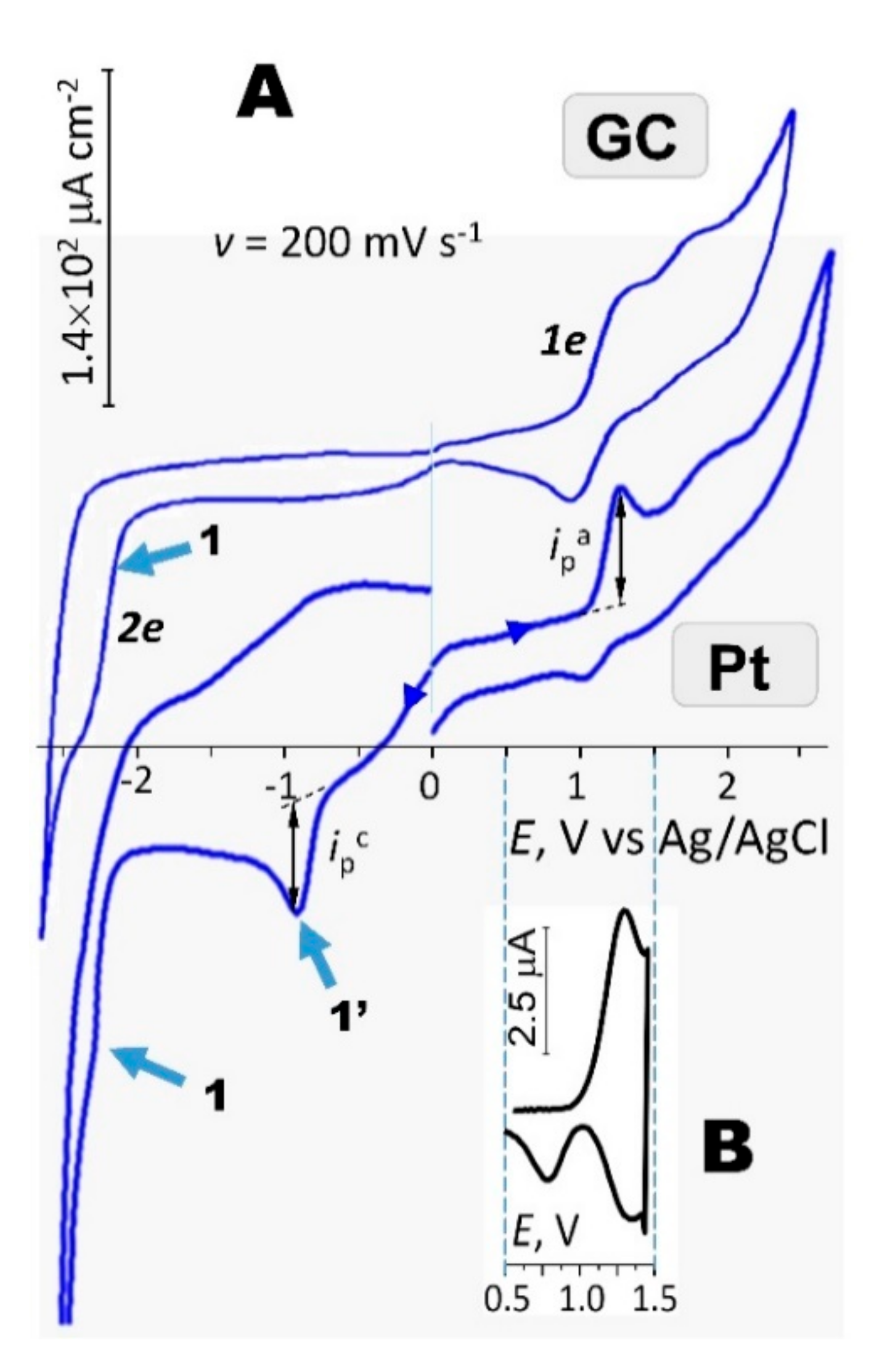 Molecules 26 00244 g008