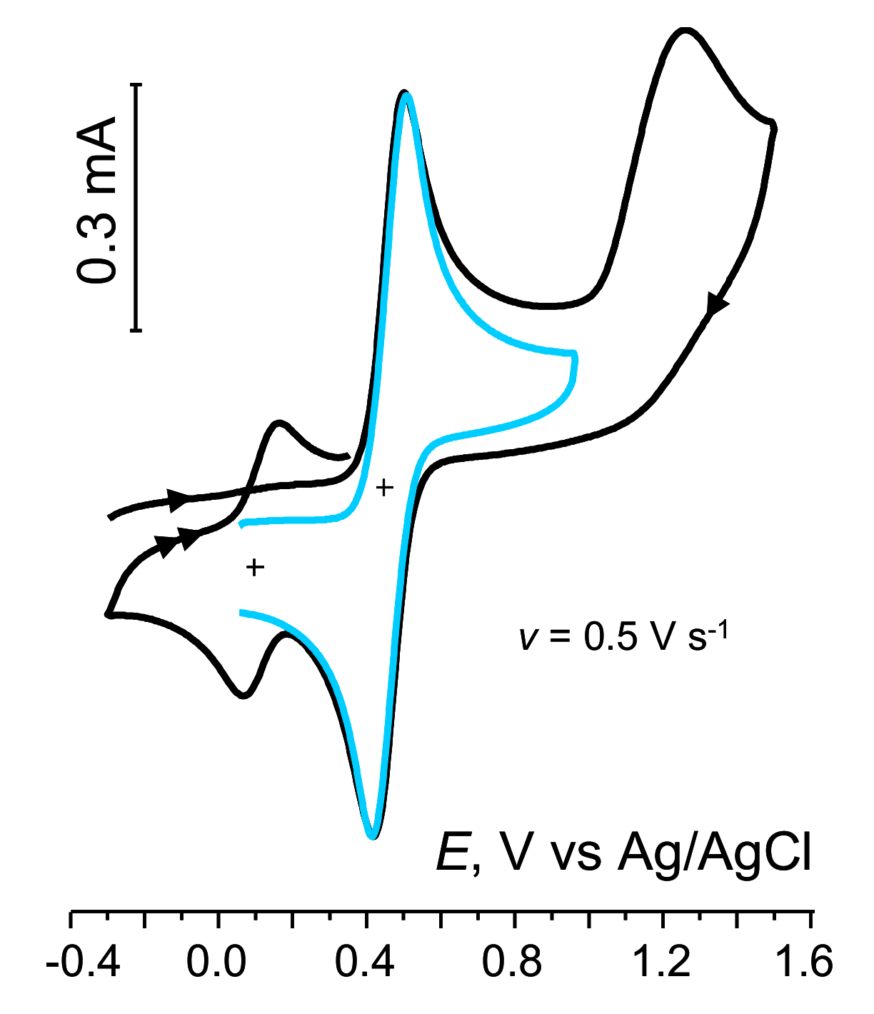 Molecules 26 00244 g009