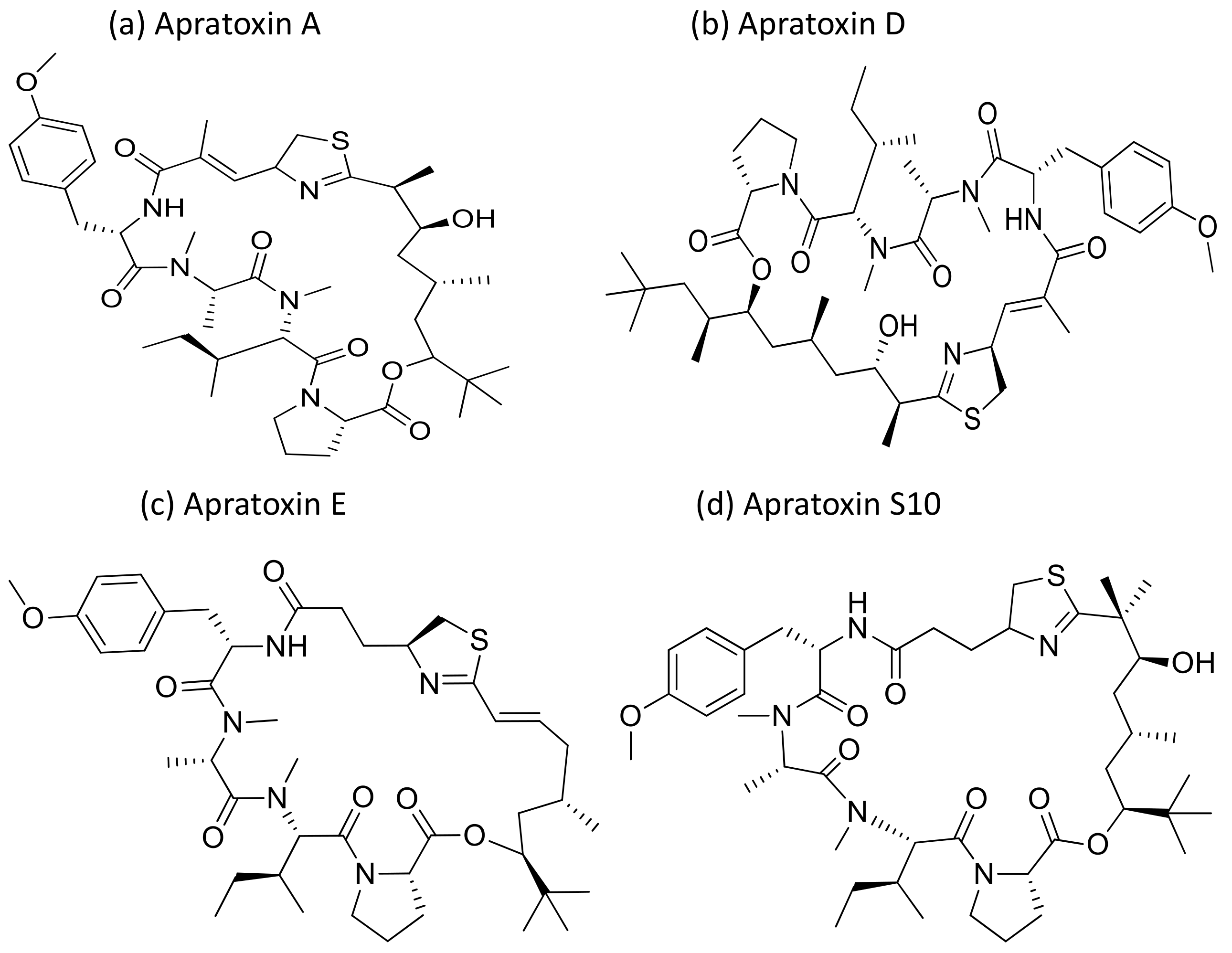 Molecules 26 00247 g003 Molecules 26 00247 g003