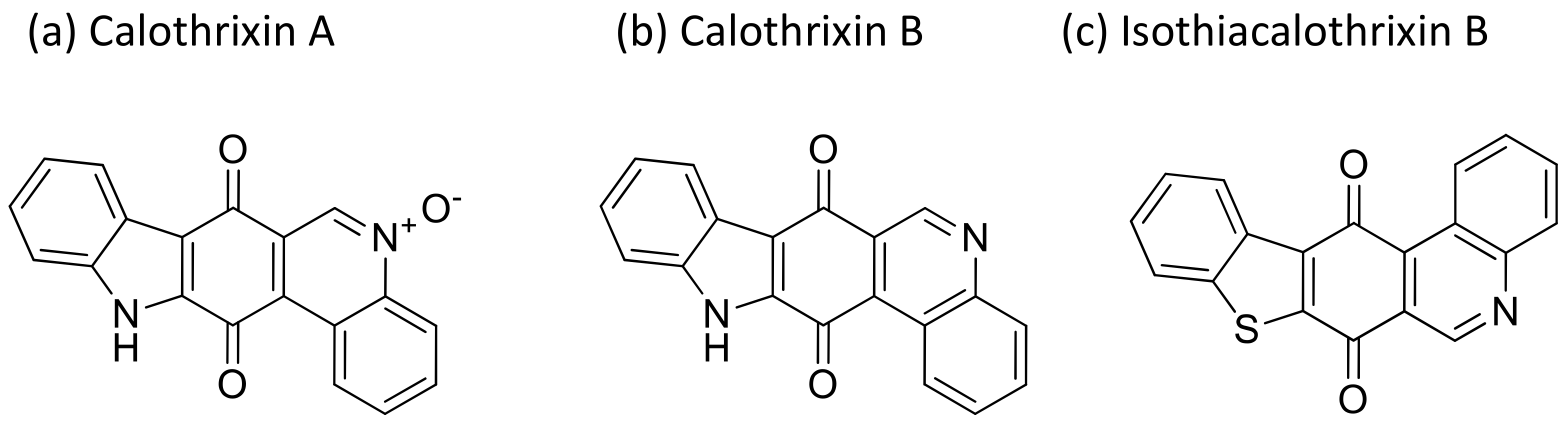 Molecules 26 00247 g008 Molecules 26 00247 g008