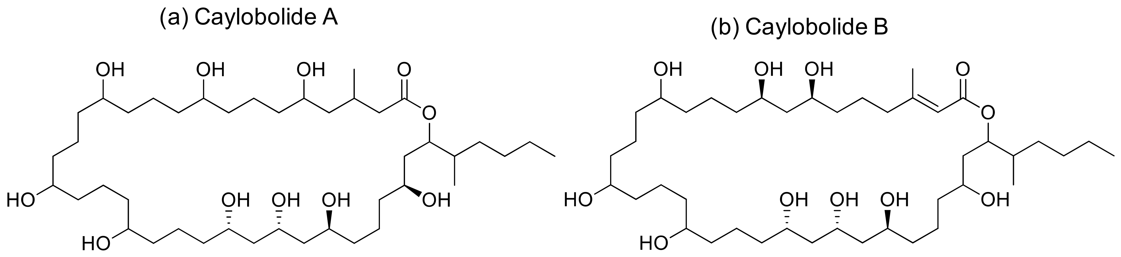 Molecules 26 00247 g010 Molecules 26 00247 g010