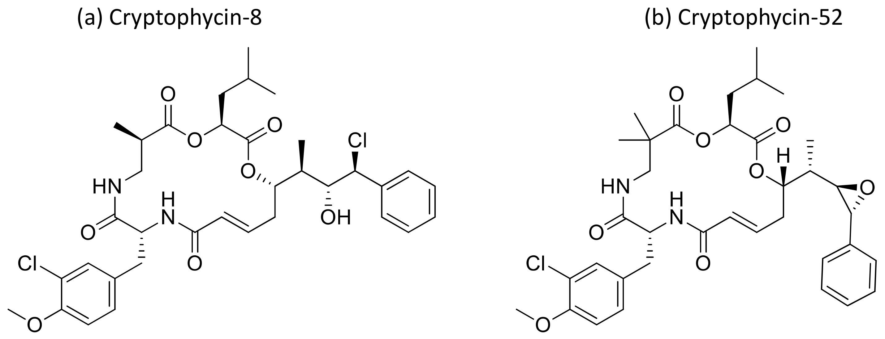 Molecules 26 00247 g012 Molecules 26 00247 g012