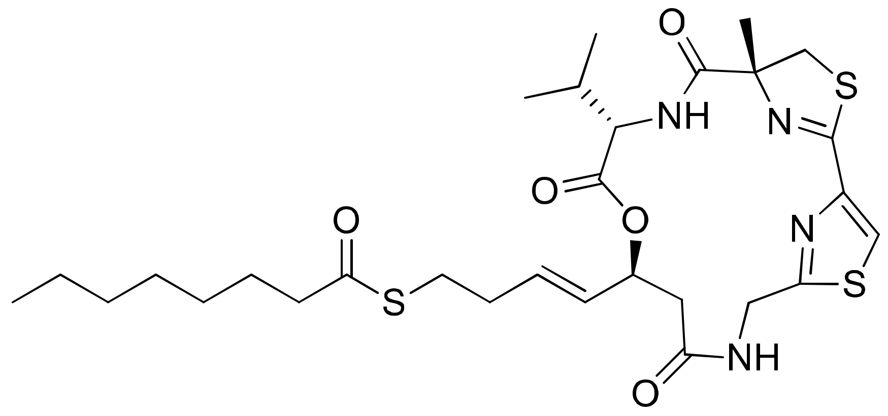 Molecules 26 00247 g024 Molecules 26 00247 g024
