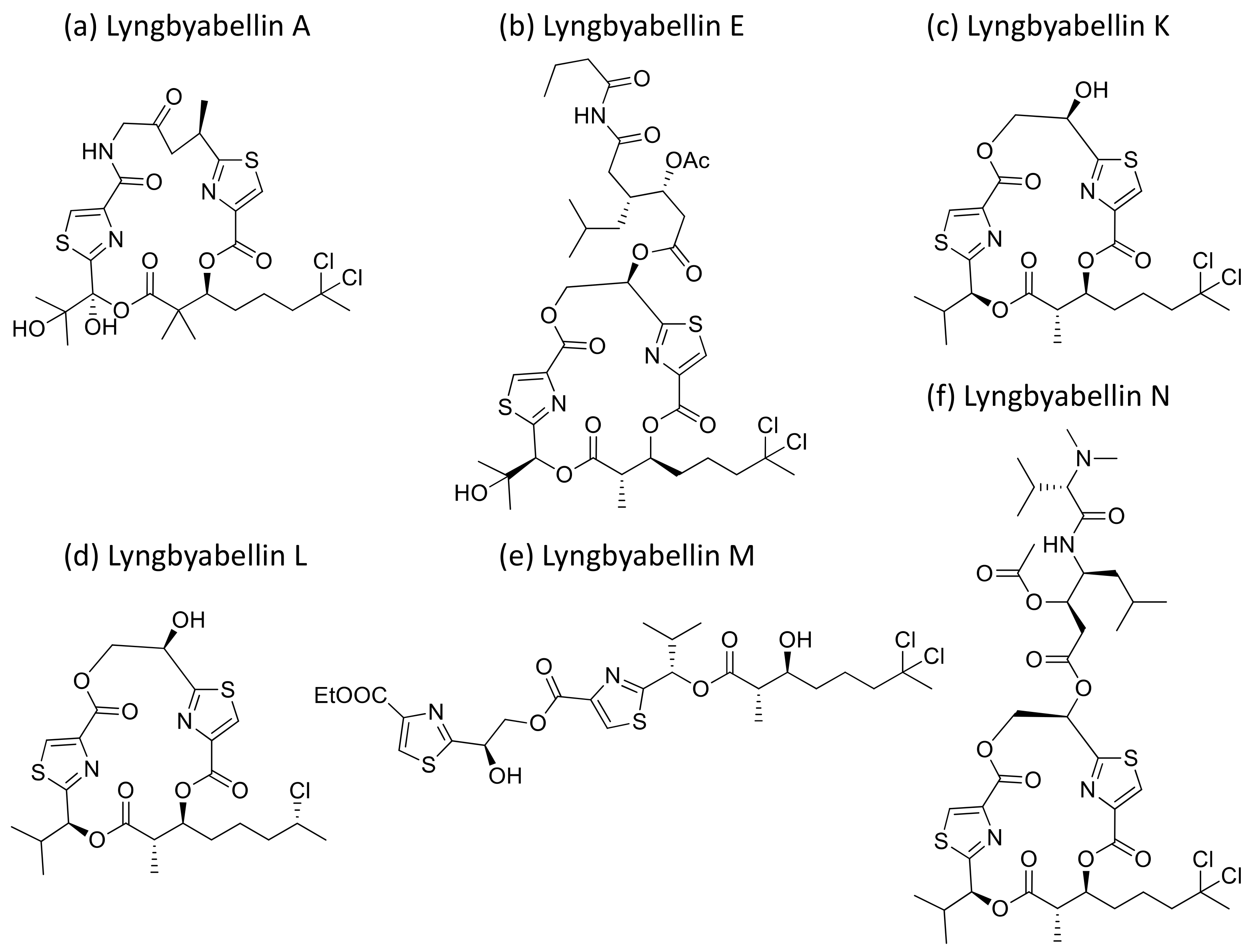 Molecules 26 00247 g026 Molecules 26 00247 g026