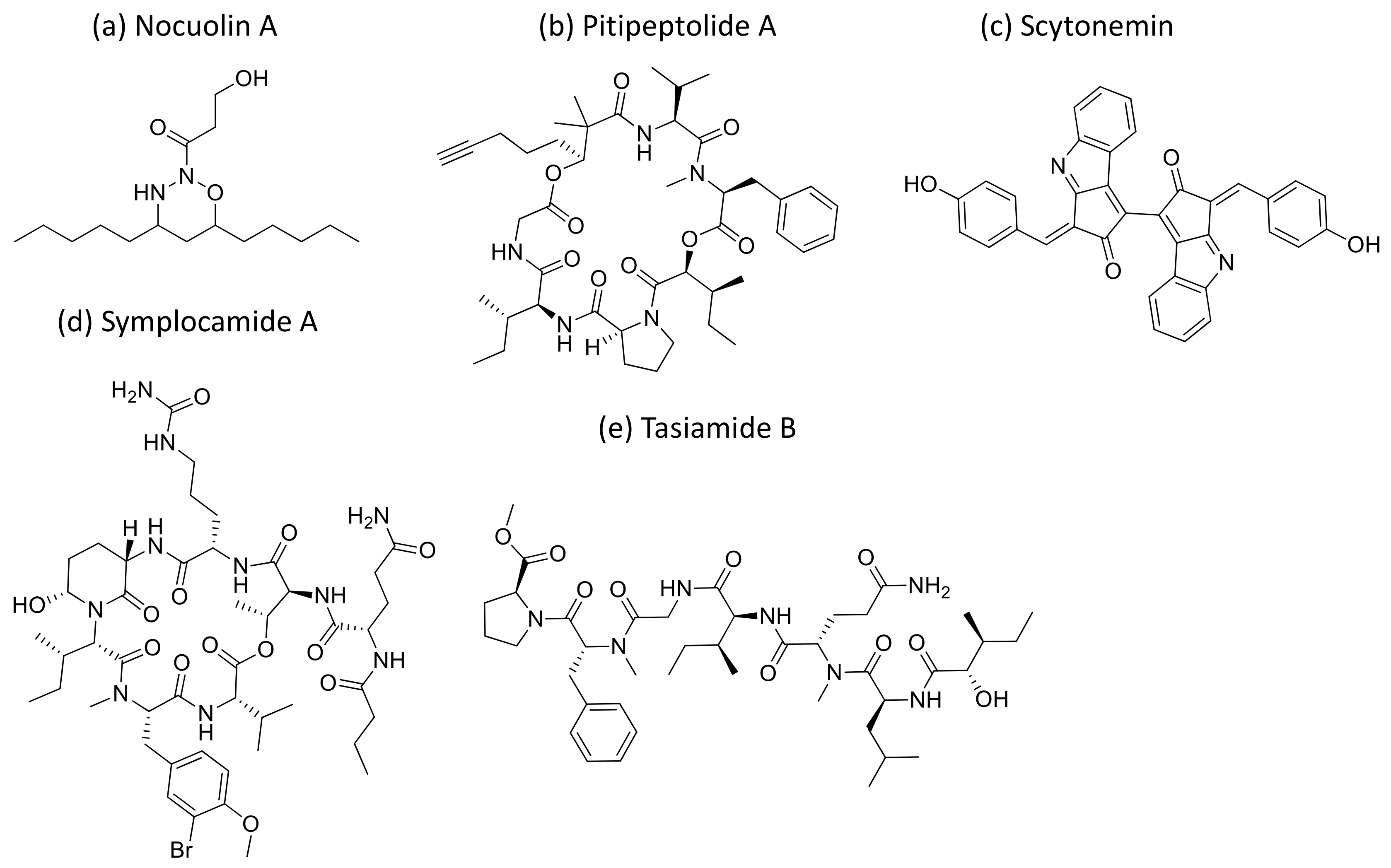 Molecules 26 00247 g029 Molecules 26 00247 g029