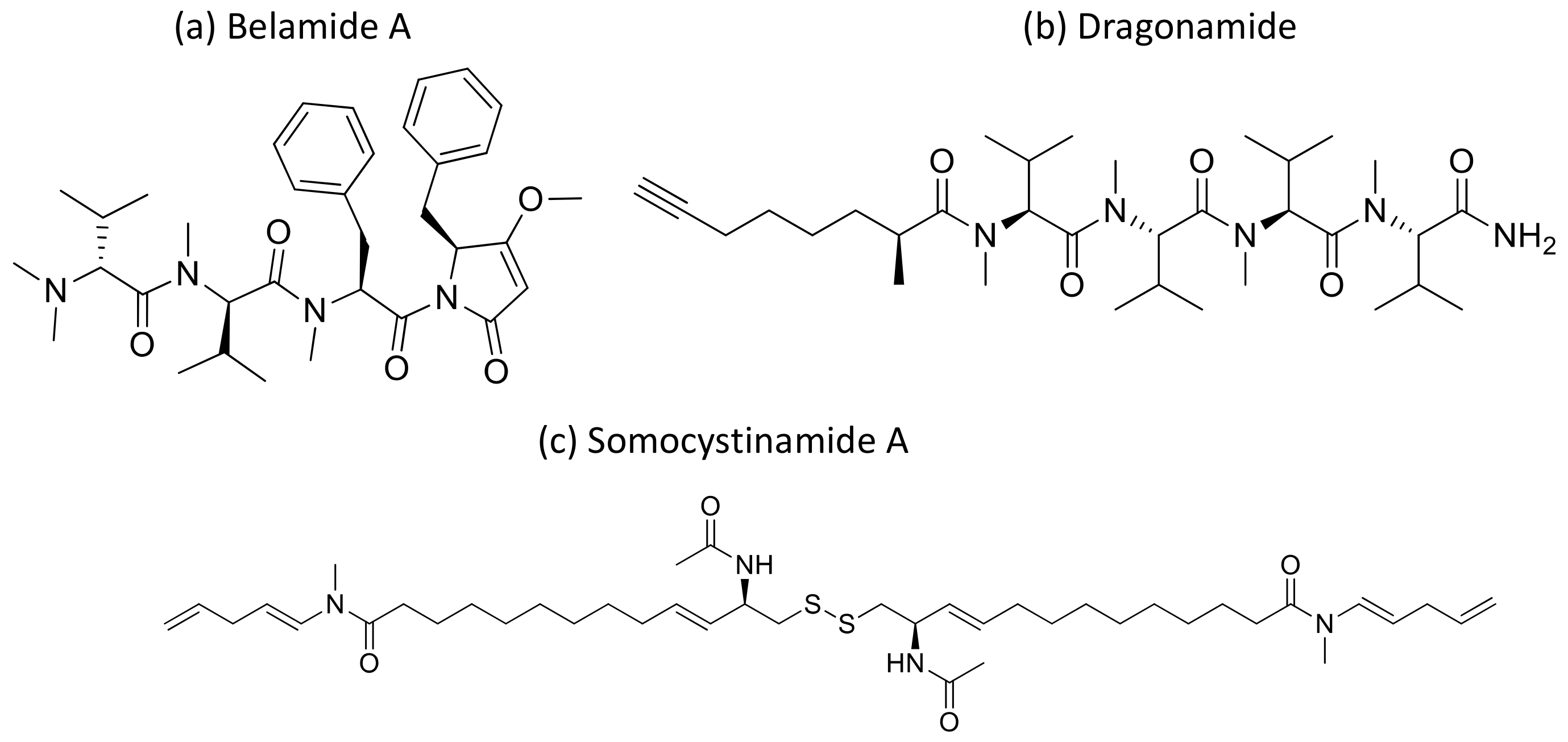 Molecules 26 00247 g031 Molecules 26 00247 g031