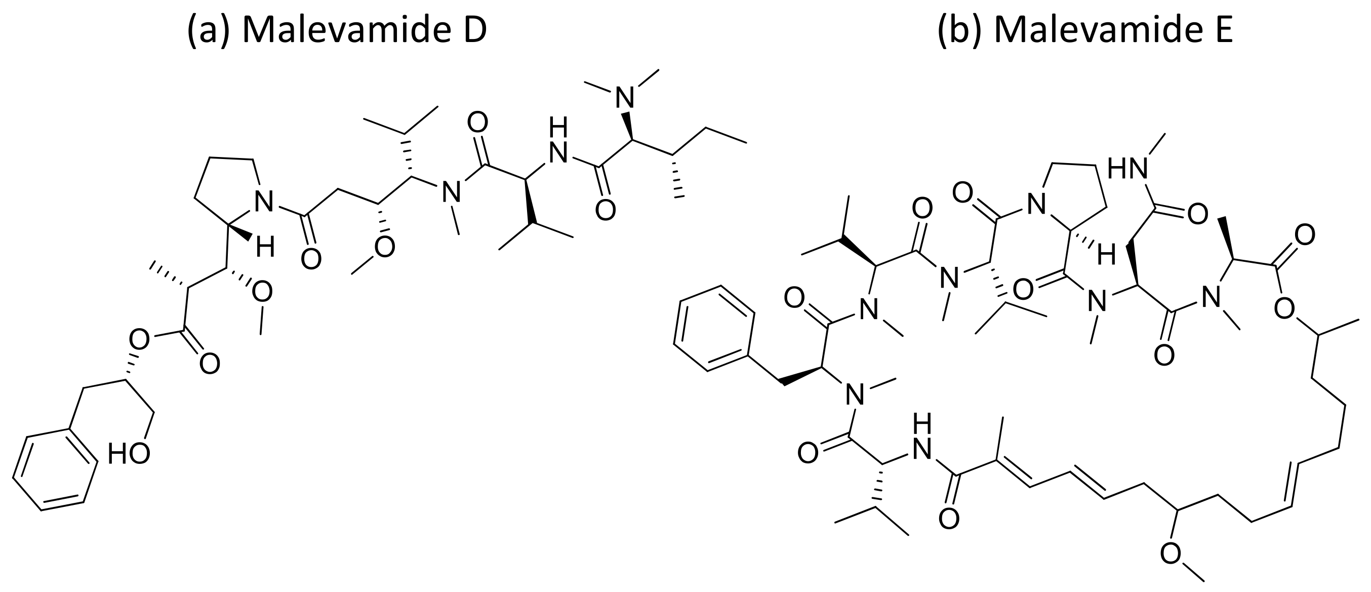 Molecules 26 00247 g032 Molecules 26 00247 g032