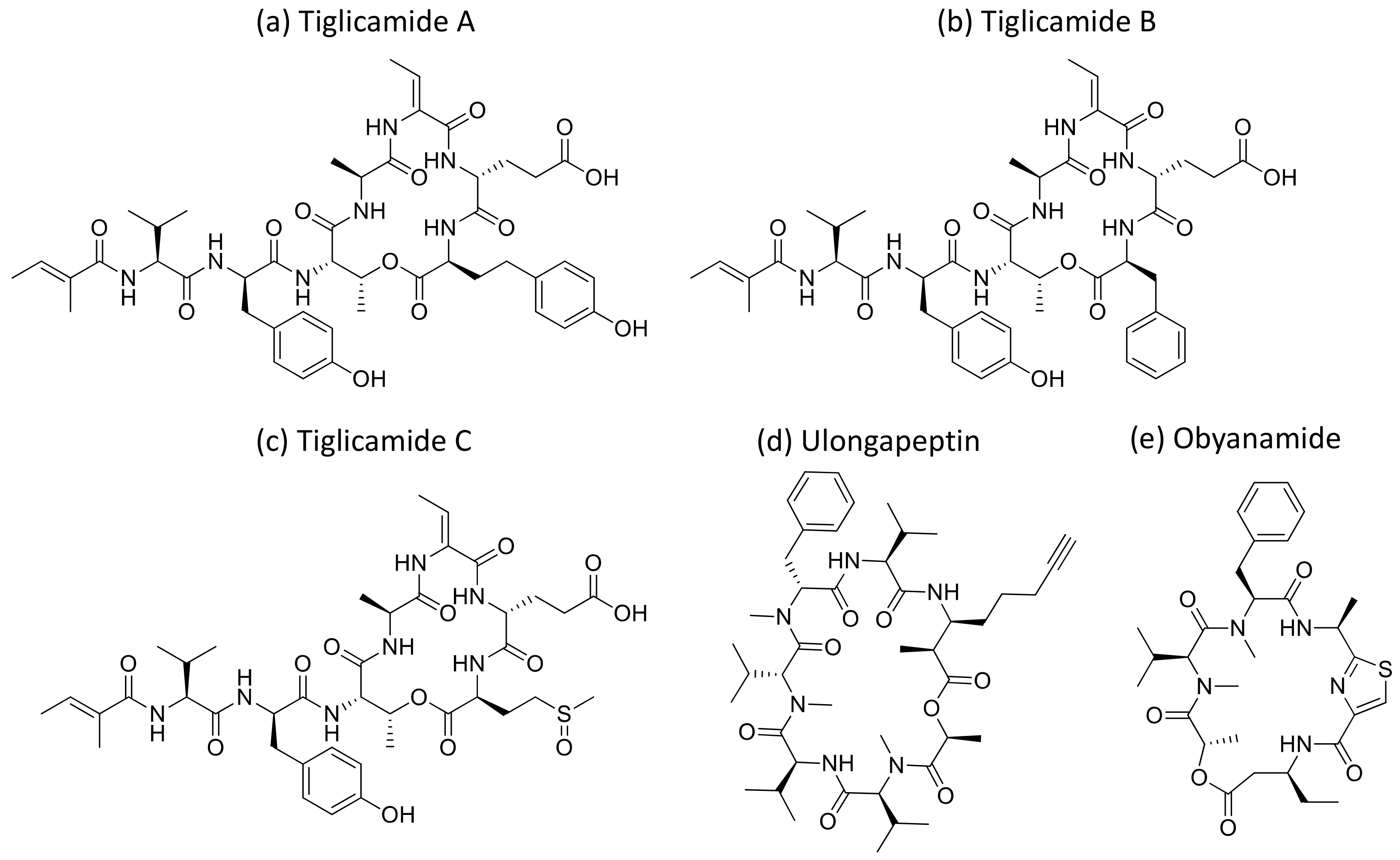 Molecules 26 00247 g033 Molecules 26 00247 g033