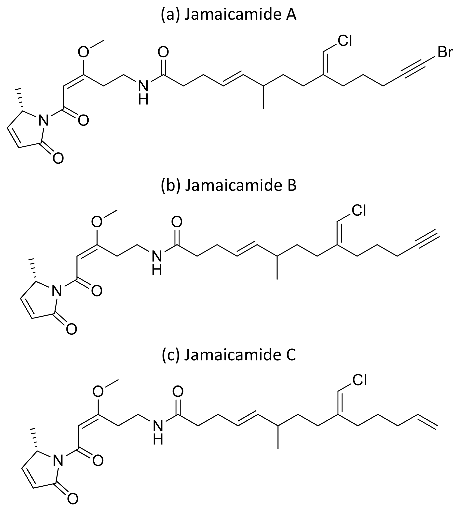 Molecules 26 00247 g035 Molecules 26 00247 g035