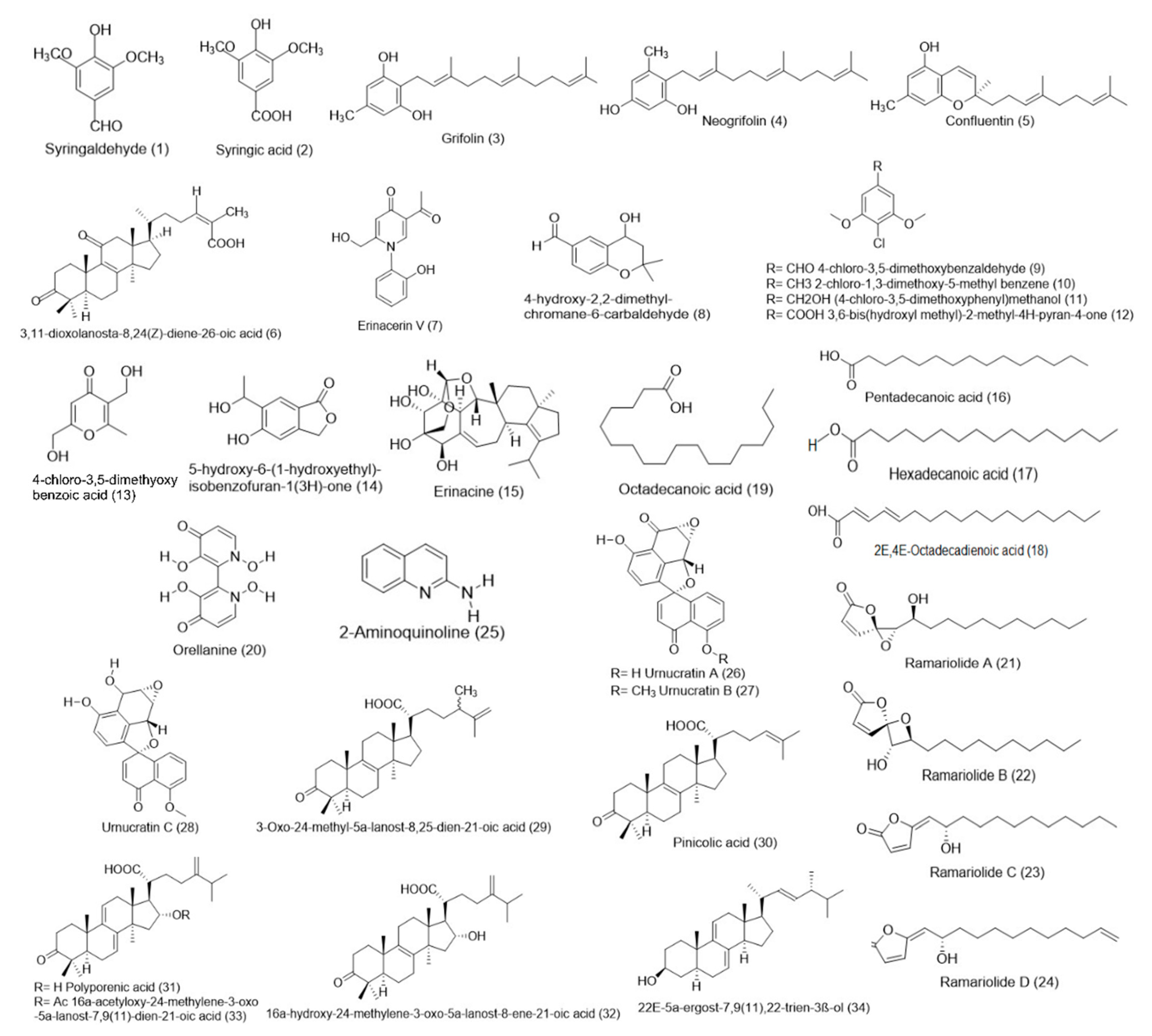Molecules 26 00251 g002 Molecules 26 00251 g002