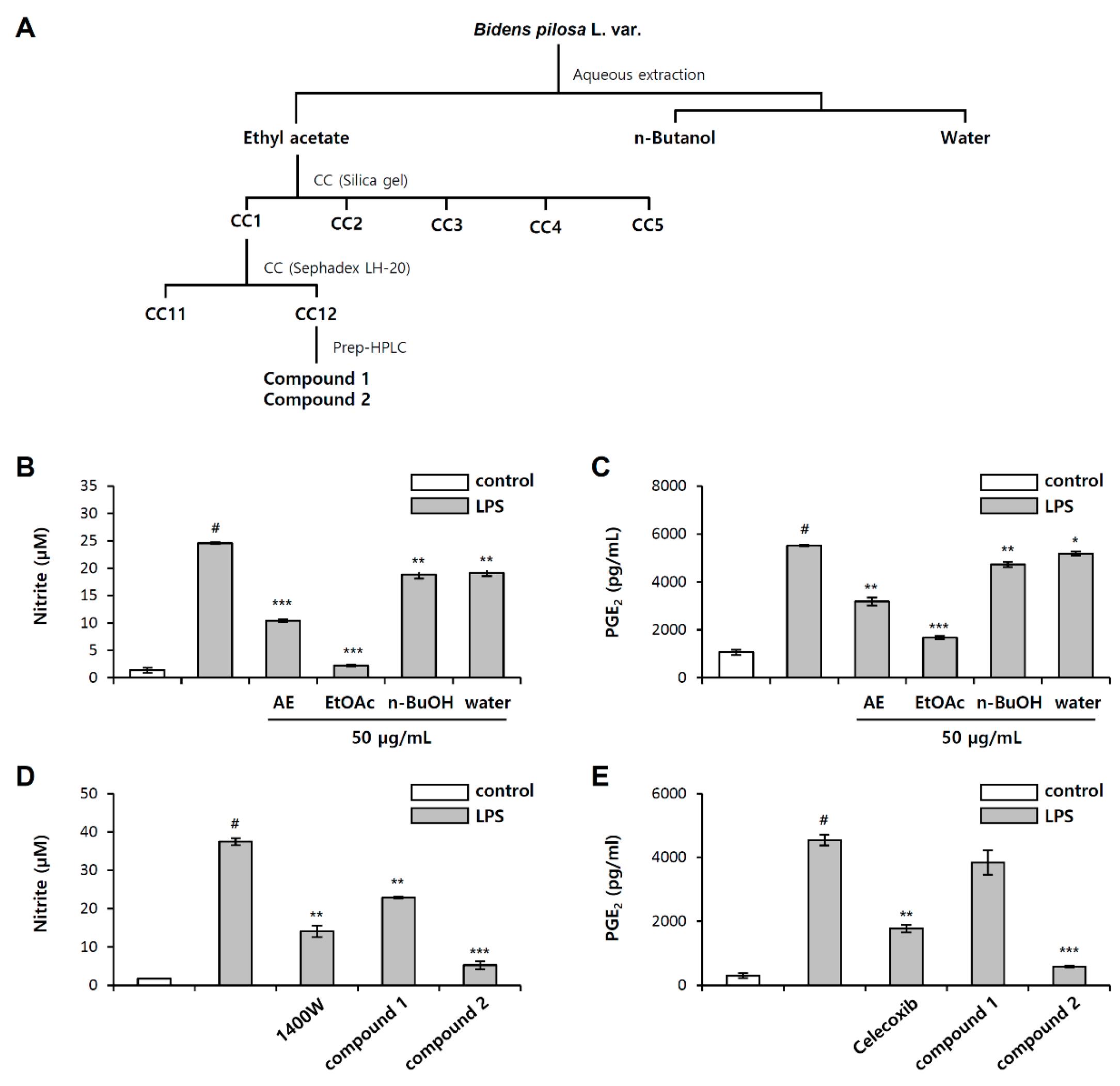 Molecules 26 00255 g001 Molecules 26 00255 g001