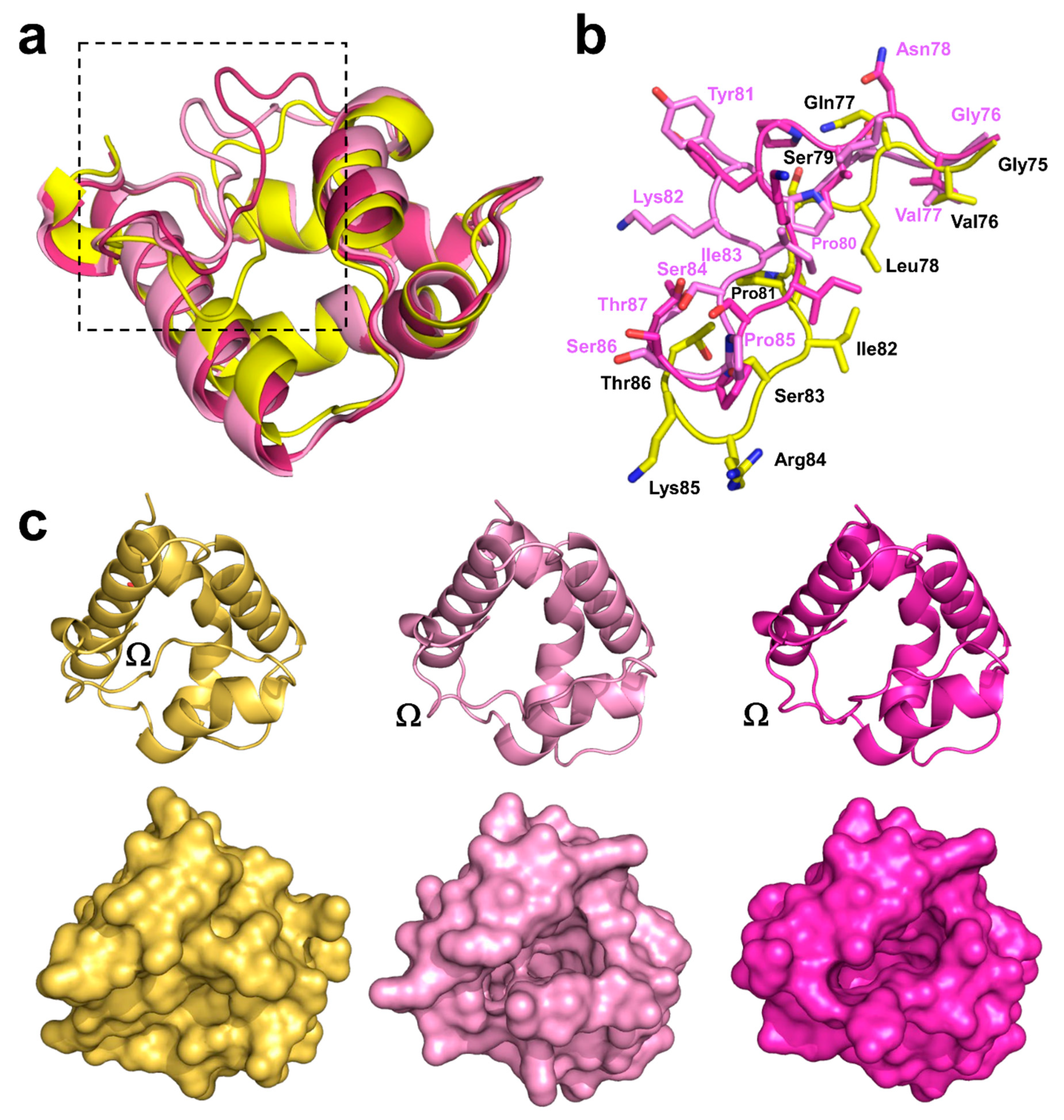 Molecules 26 00256 g003 Molecules 26 00256 g003