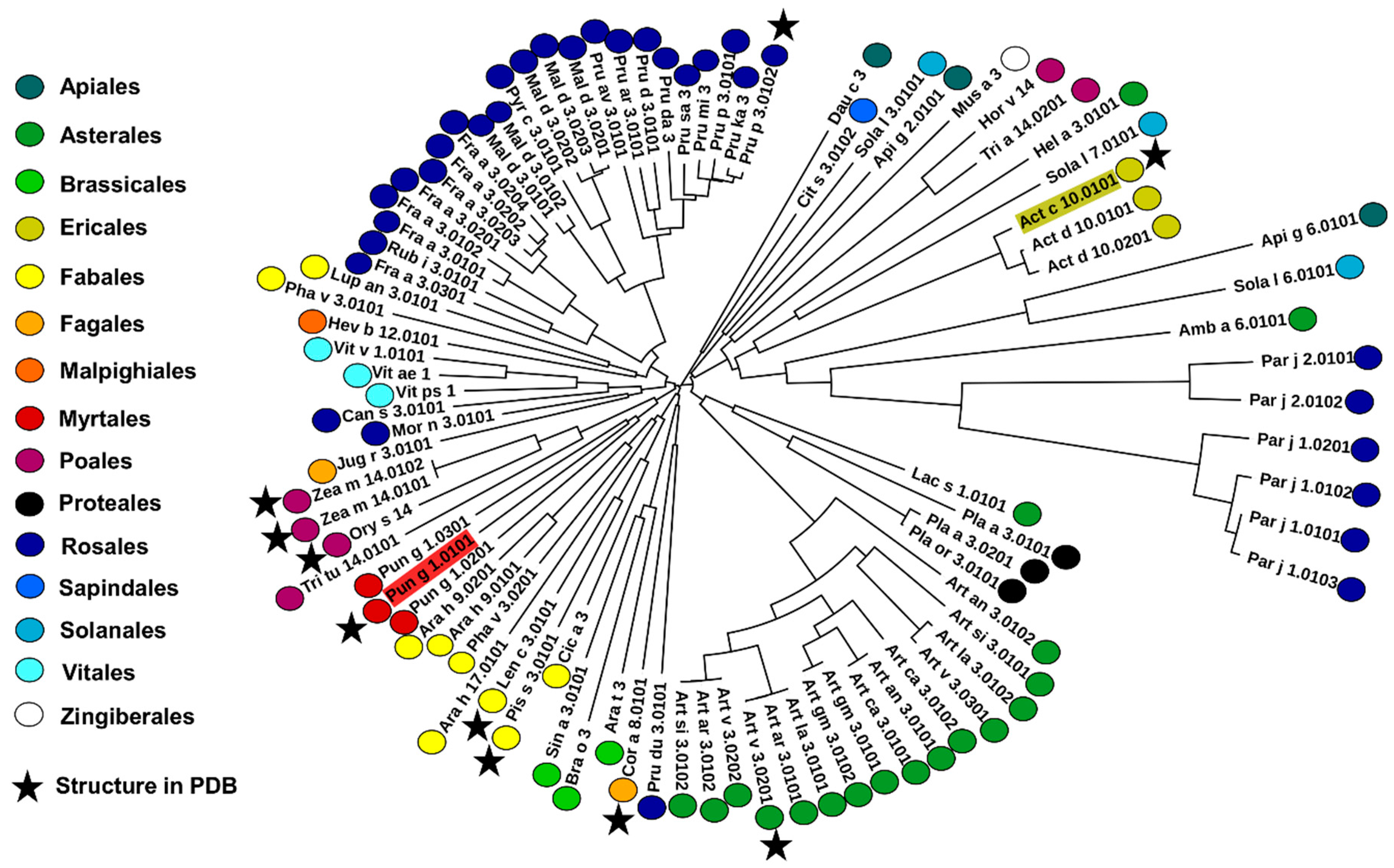 Molecules 26 00256 g004 Molecules 26 00256 g004