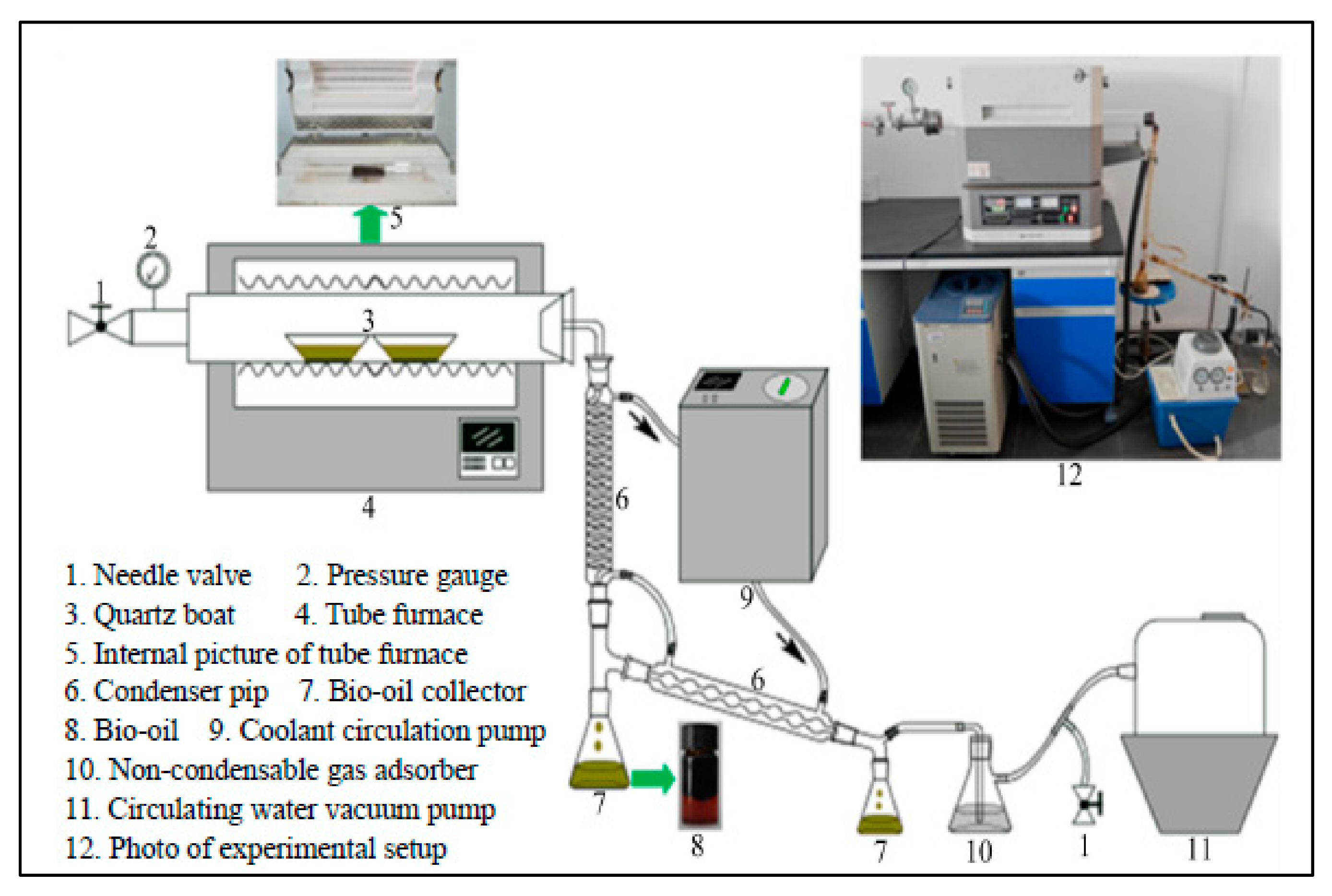 Molecules 26 00257 g002
