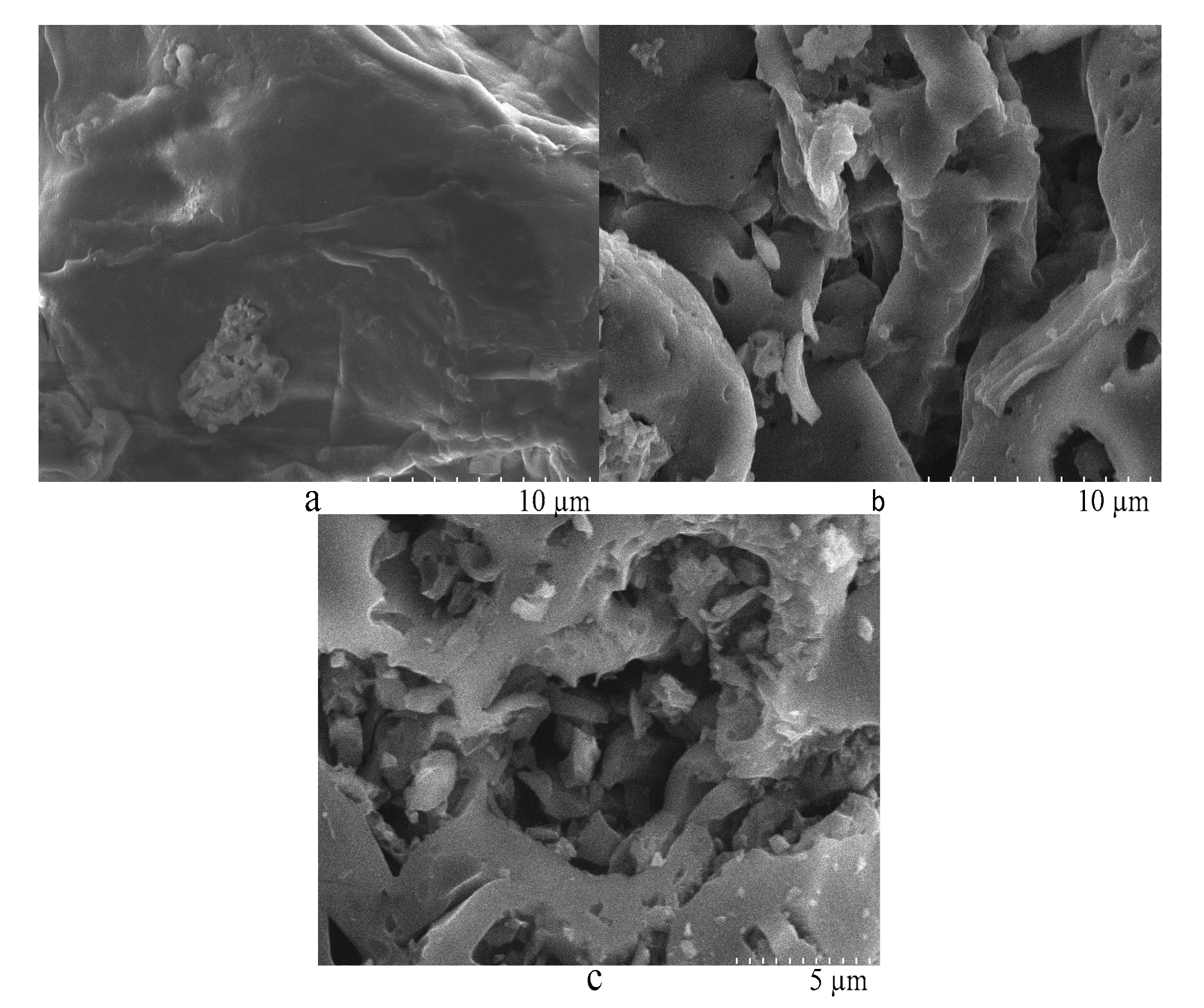 Molecules 26 00257 g005