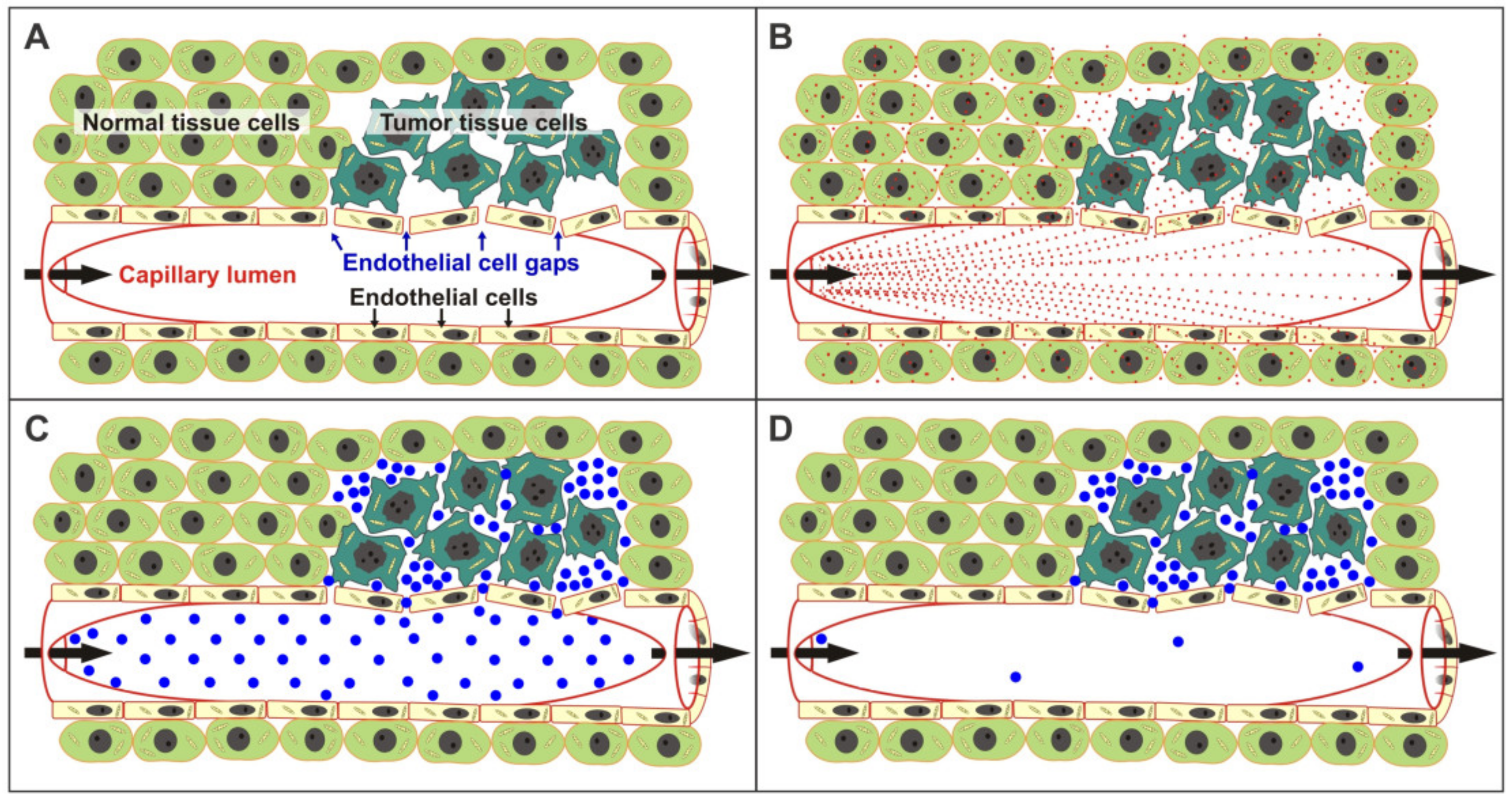 Molecules 26 00259 g001