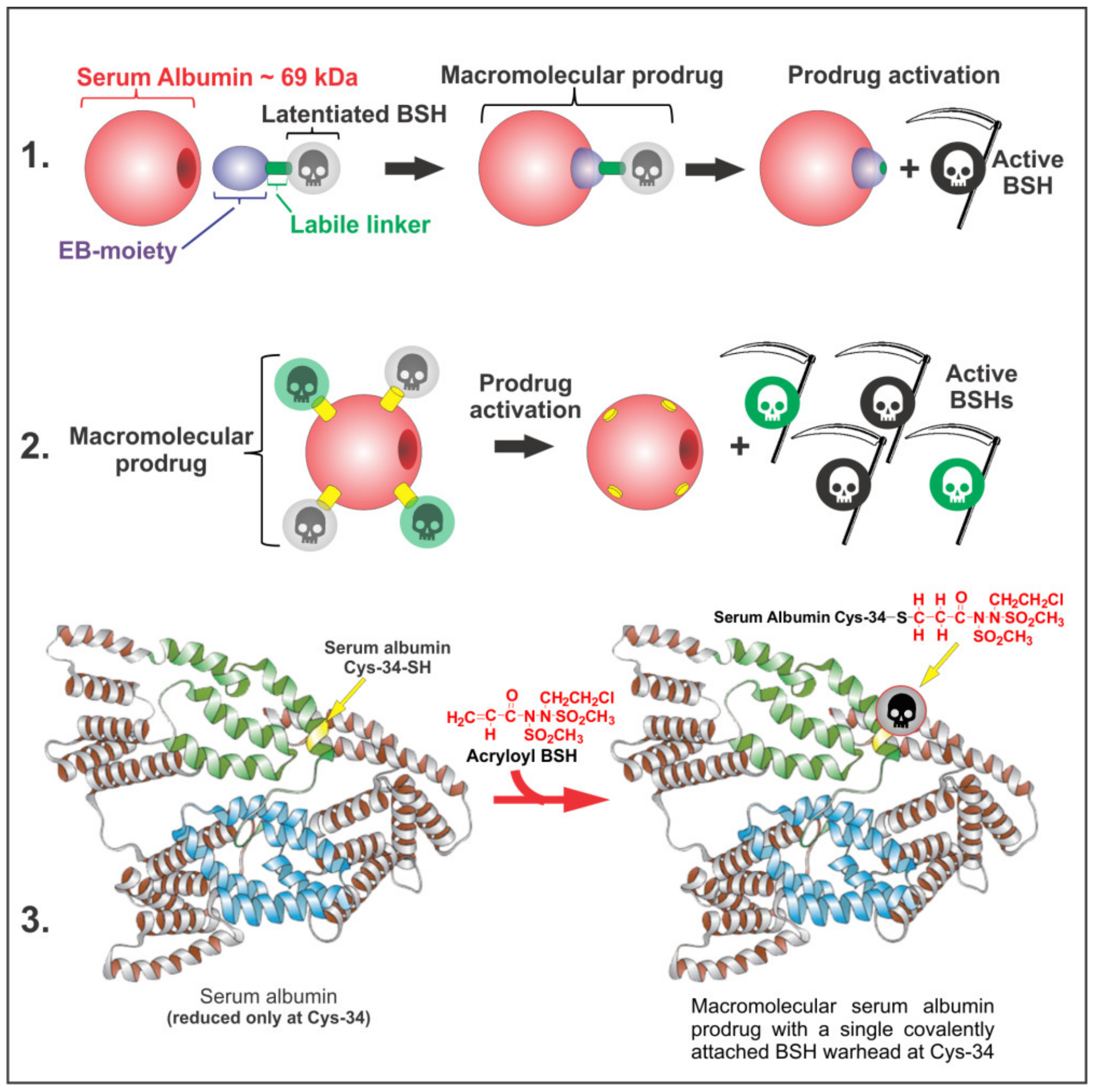 Molecules 26 00259 g003
