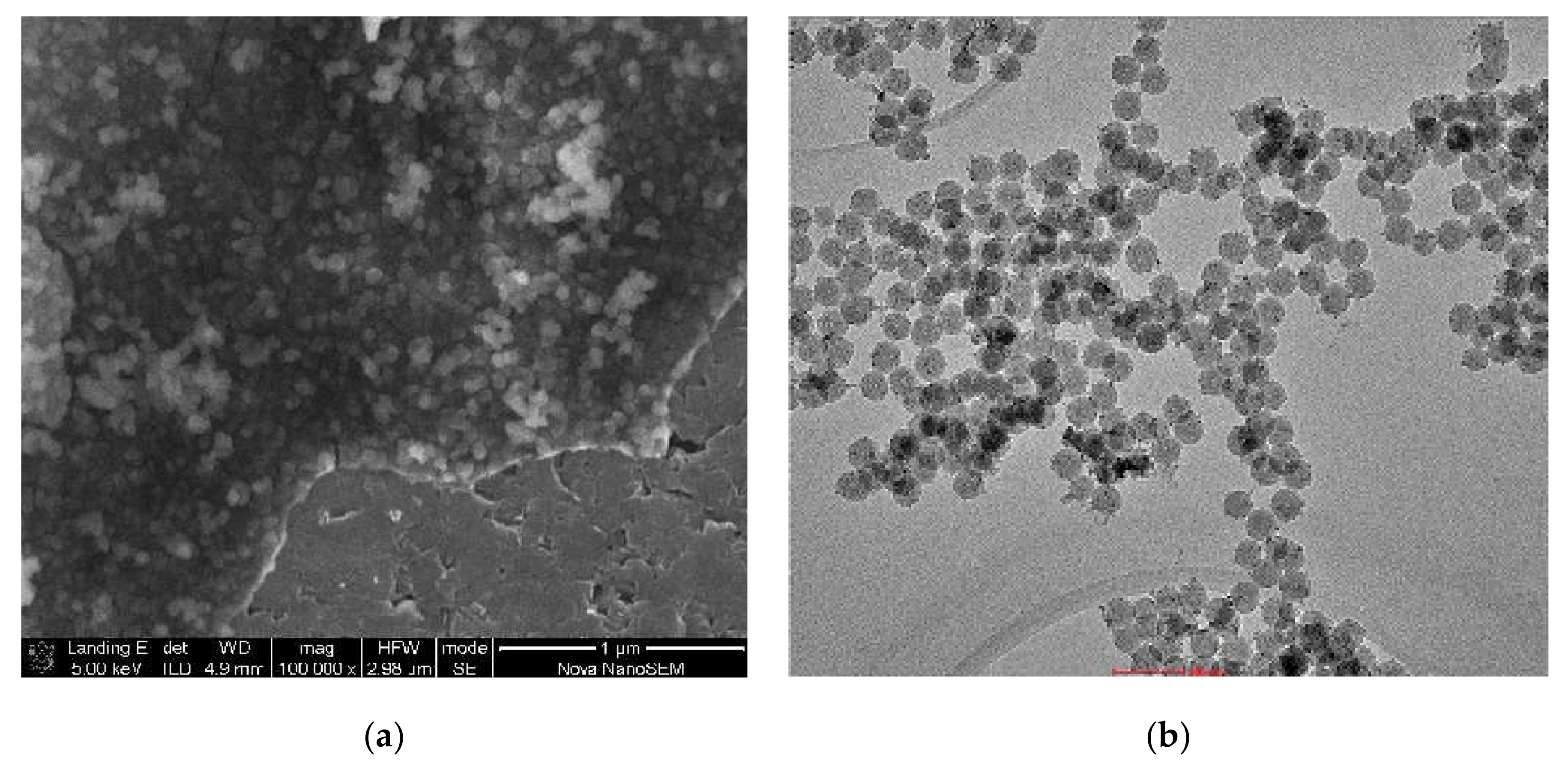 Molecules 26 00260 g001