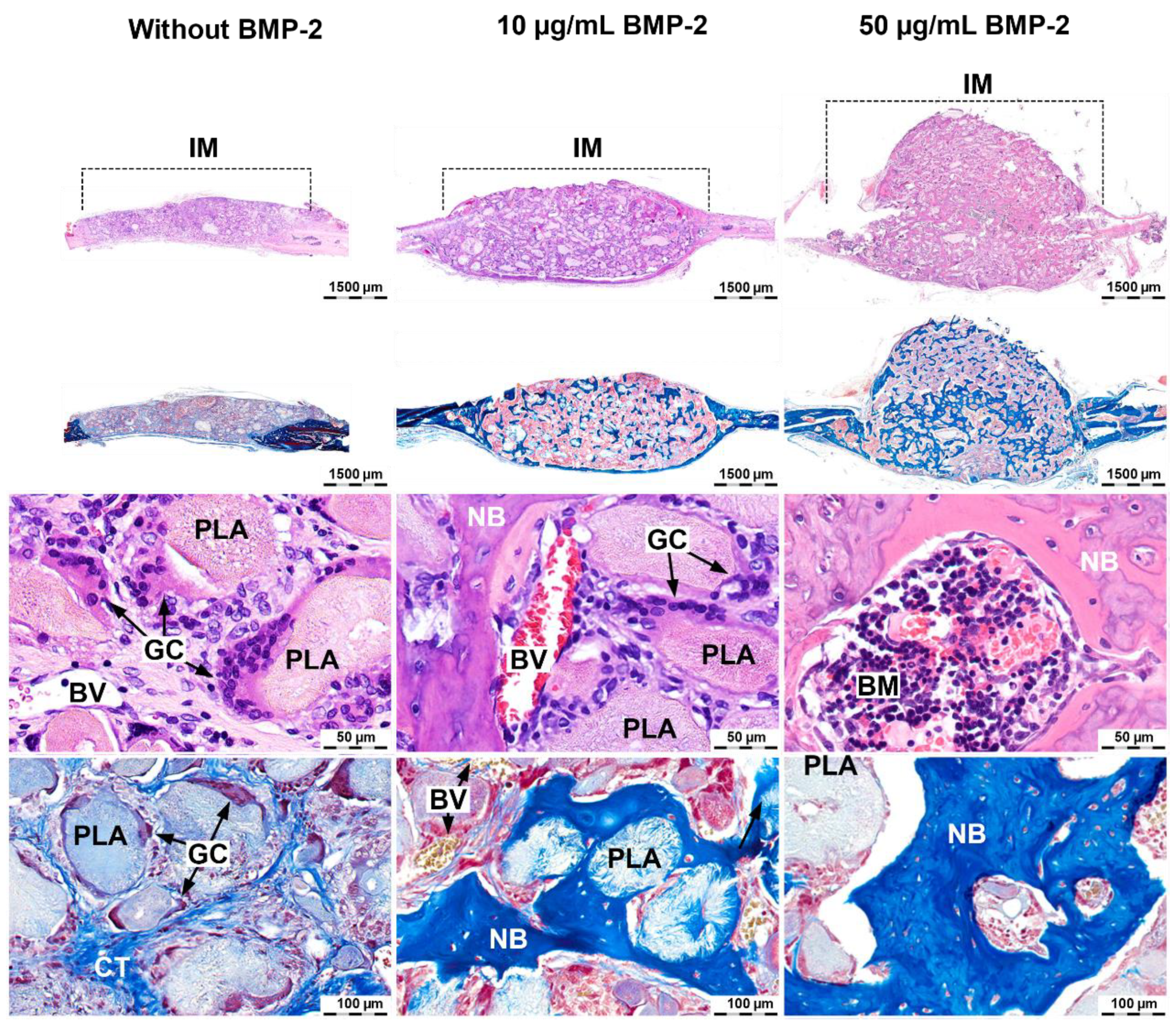 Molecules 26 00261 g004 Molecules 26 00261 g004