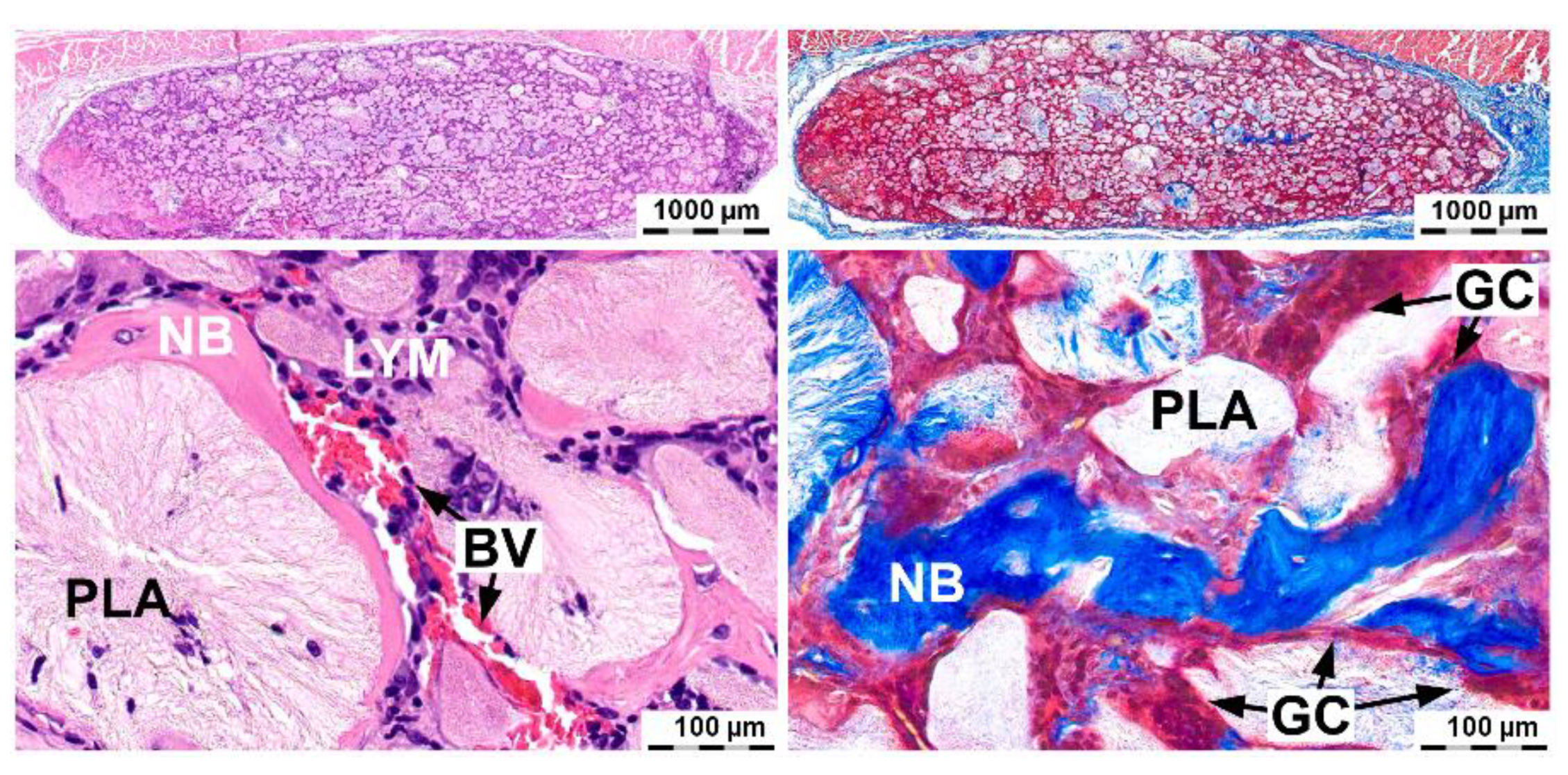 Molecules 26 00261 g005 Molecules 26 00261 g005