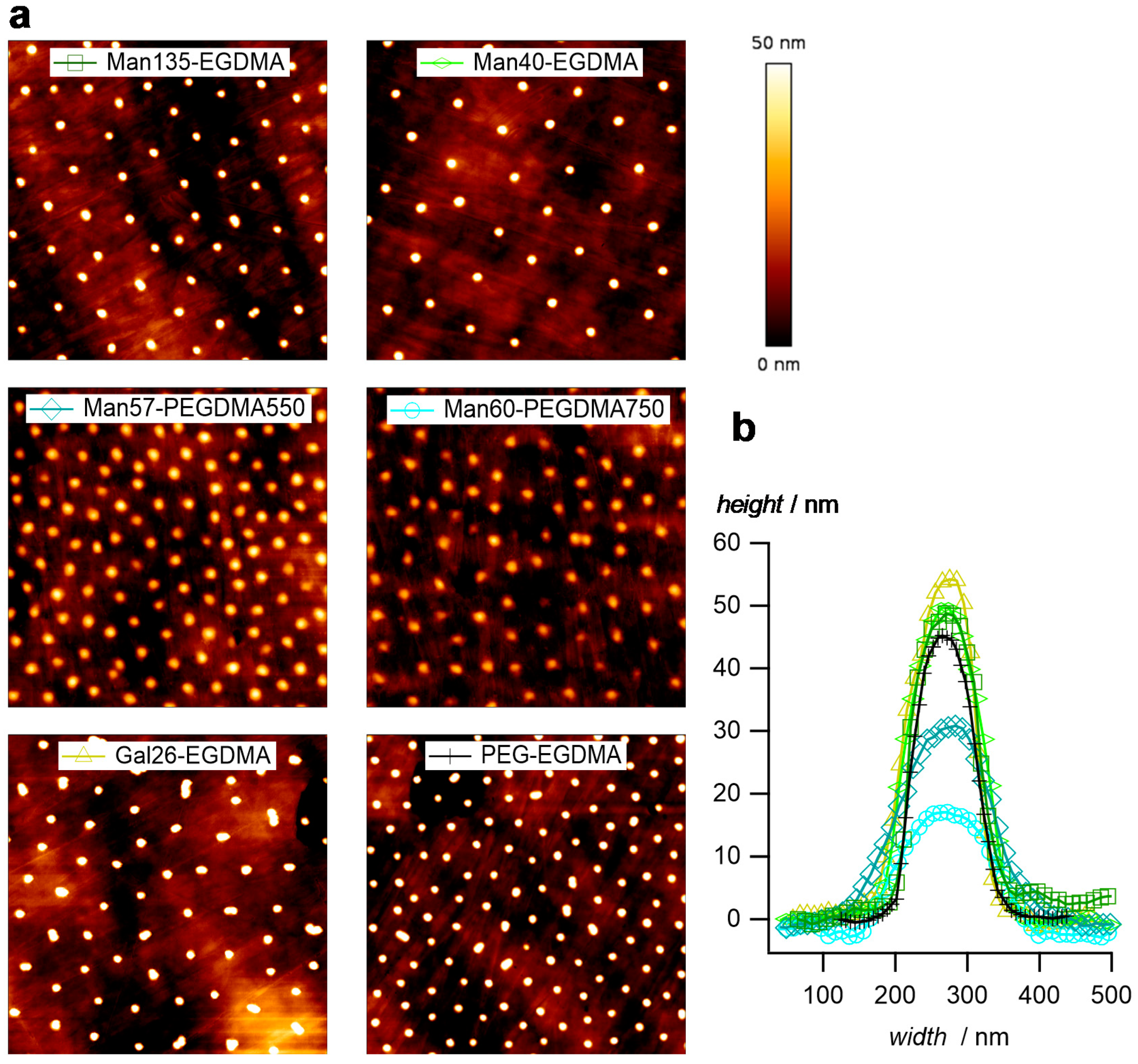 Molecules 26 00263 g004 Molecules 26 00263 g004
