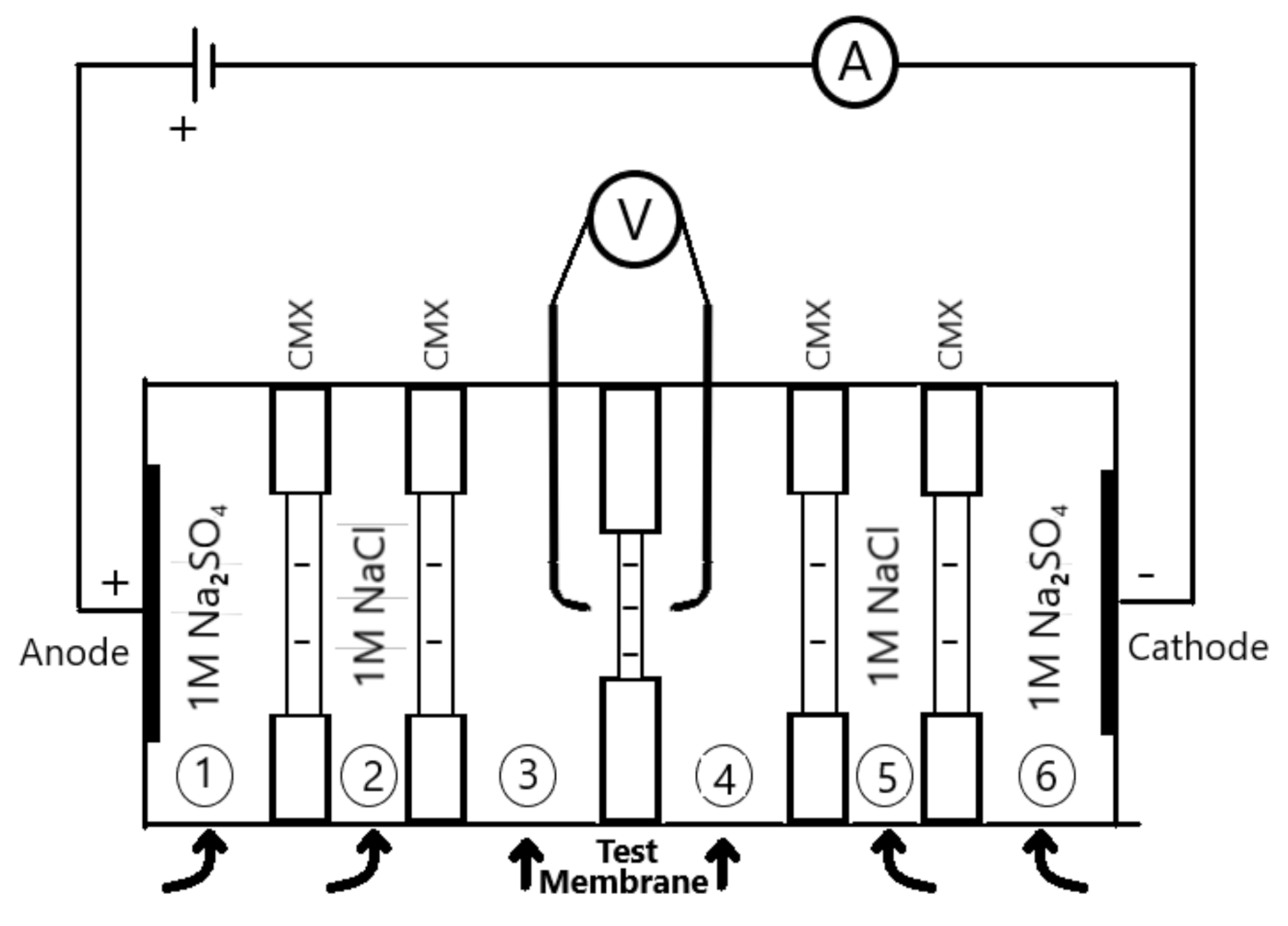 Molecules 26 00265 g002 Molecules 26 00265 g002