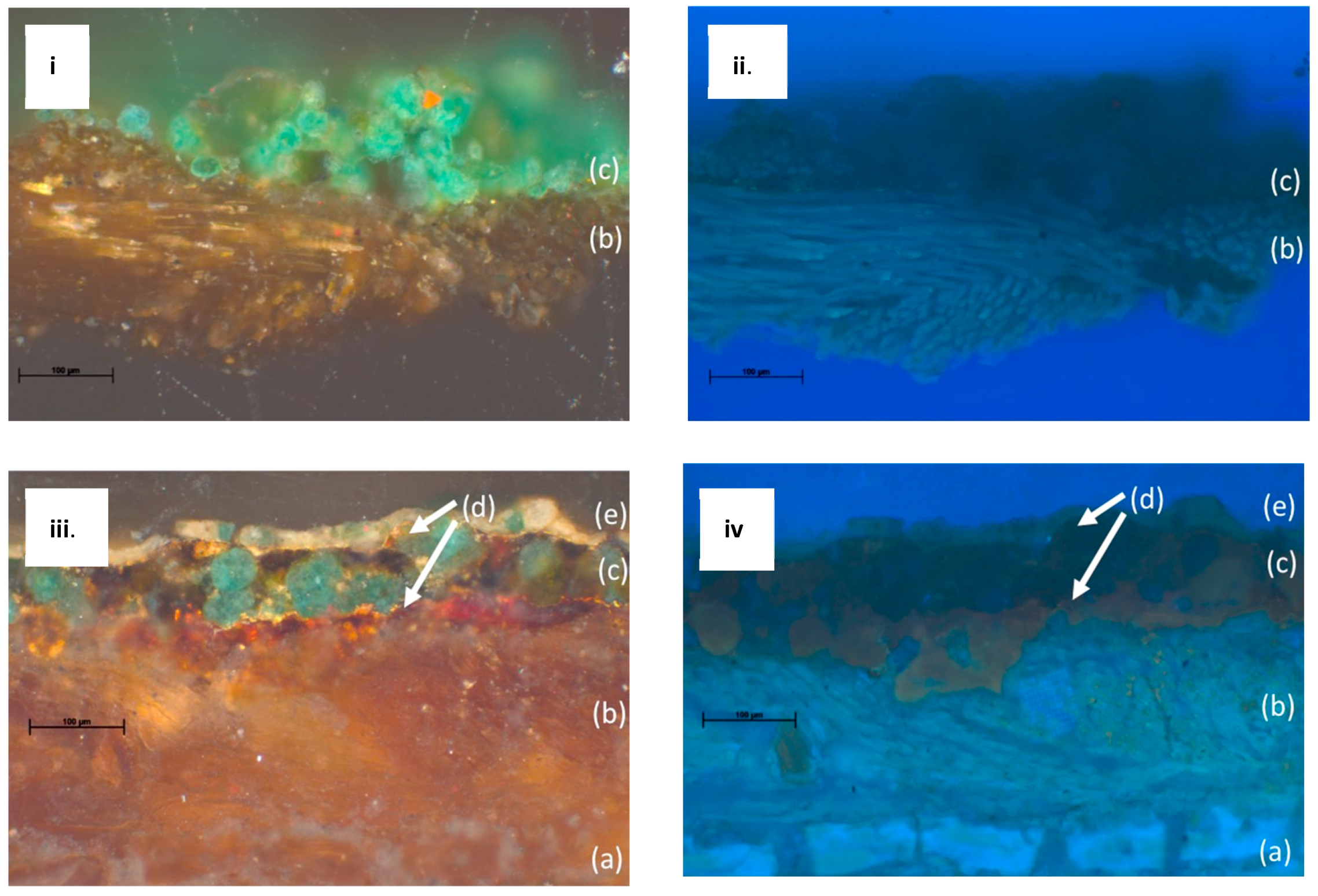 Molecules 26 00266 g003