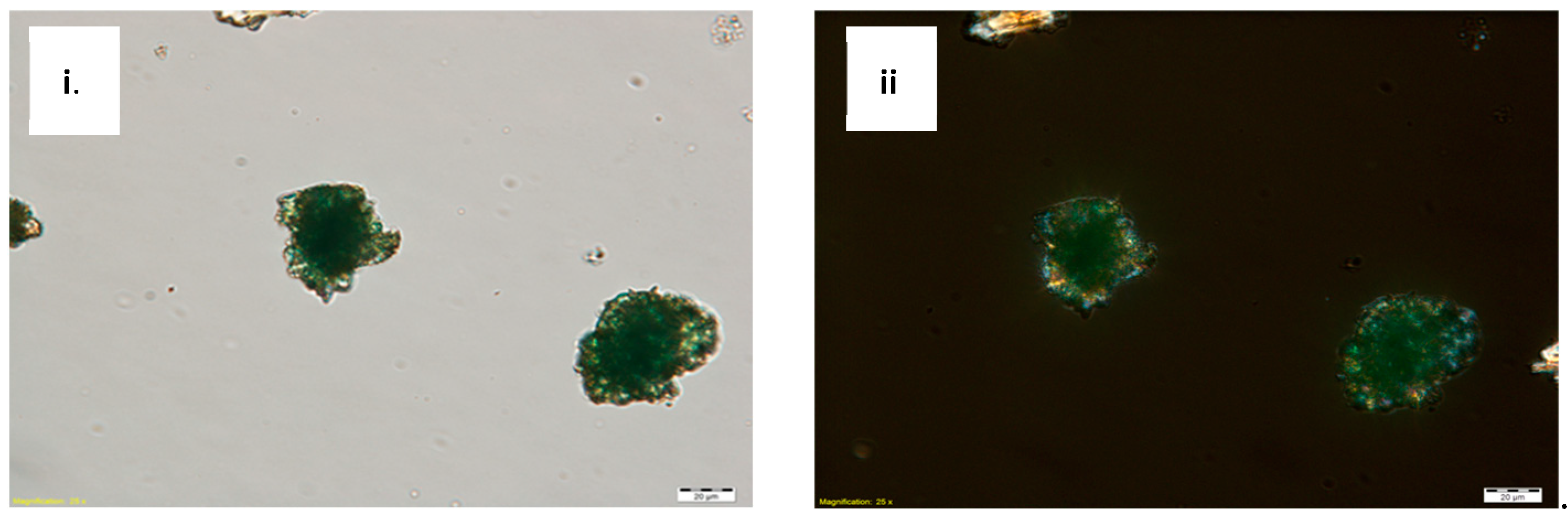 Molecules 26 00266 g004