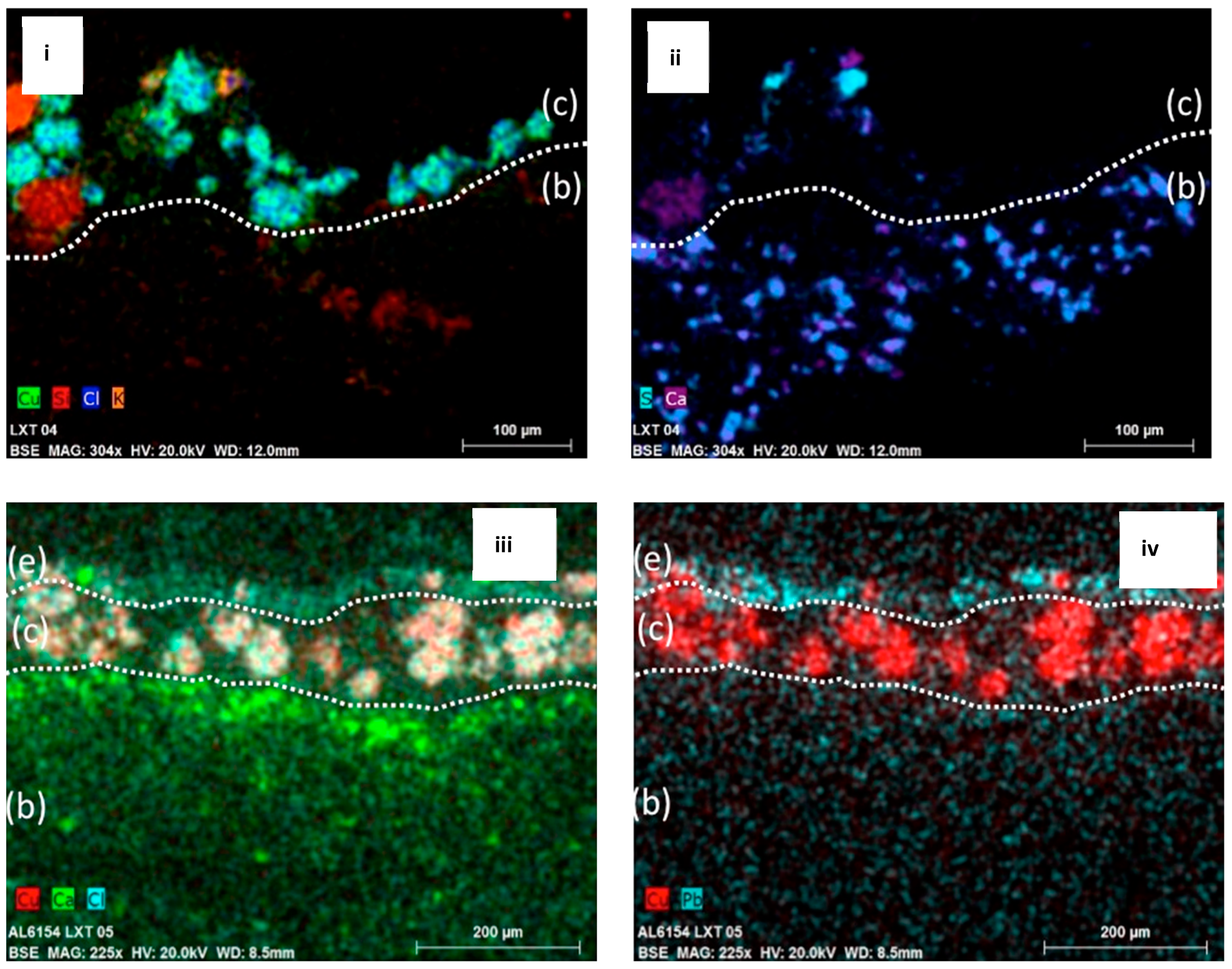 Molecules 26 00266 g005