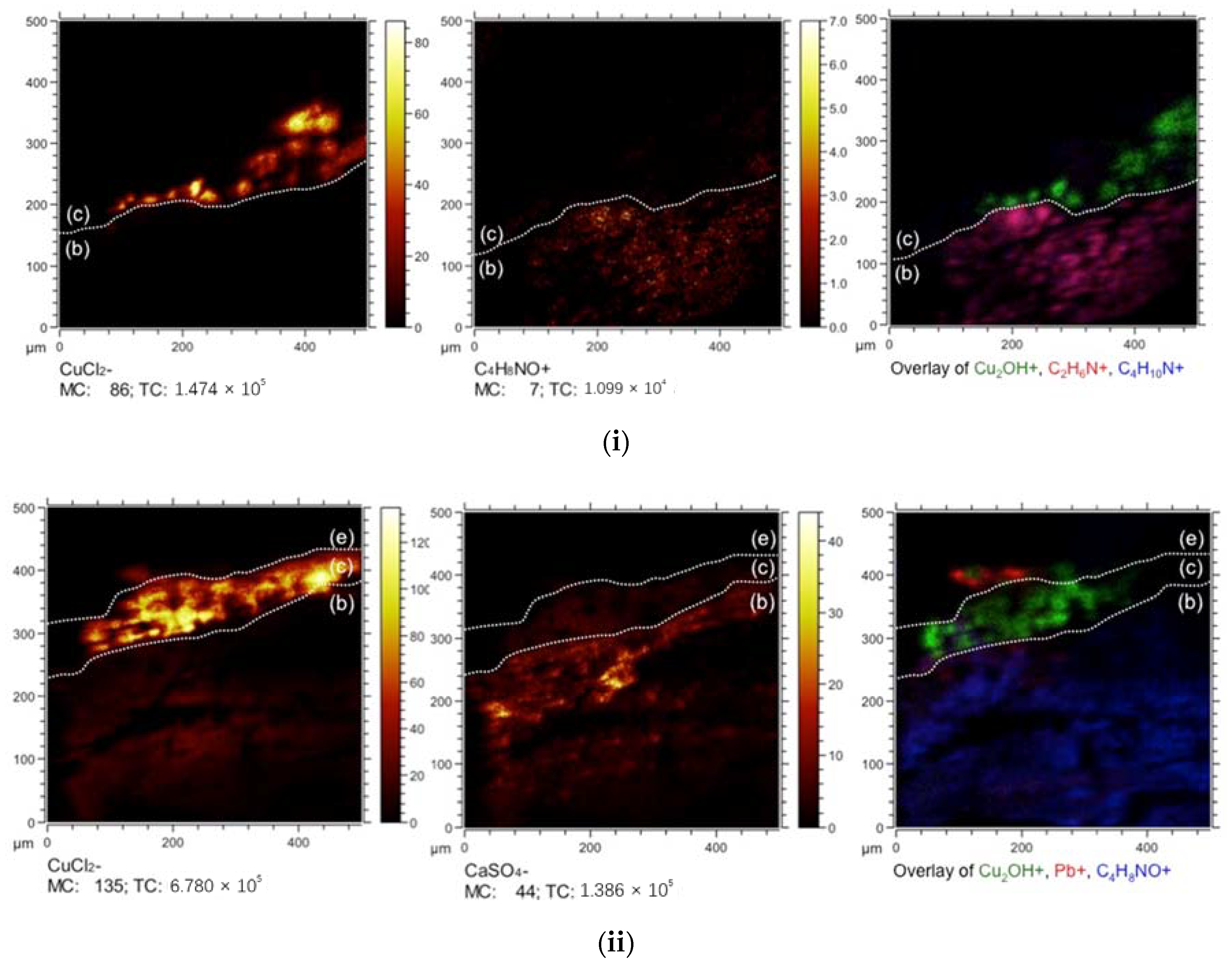 Molecules 26 00266 g006