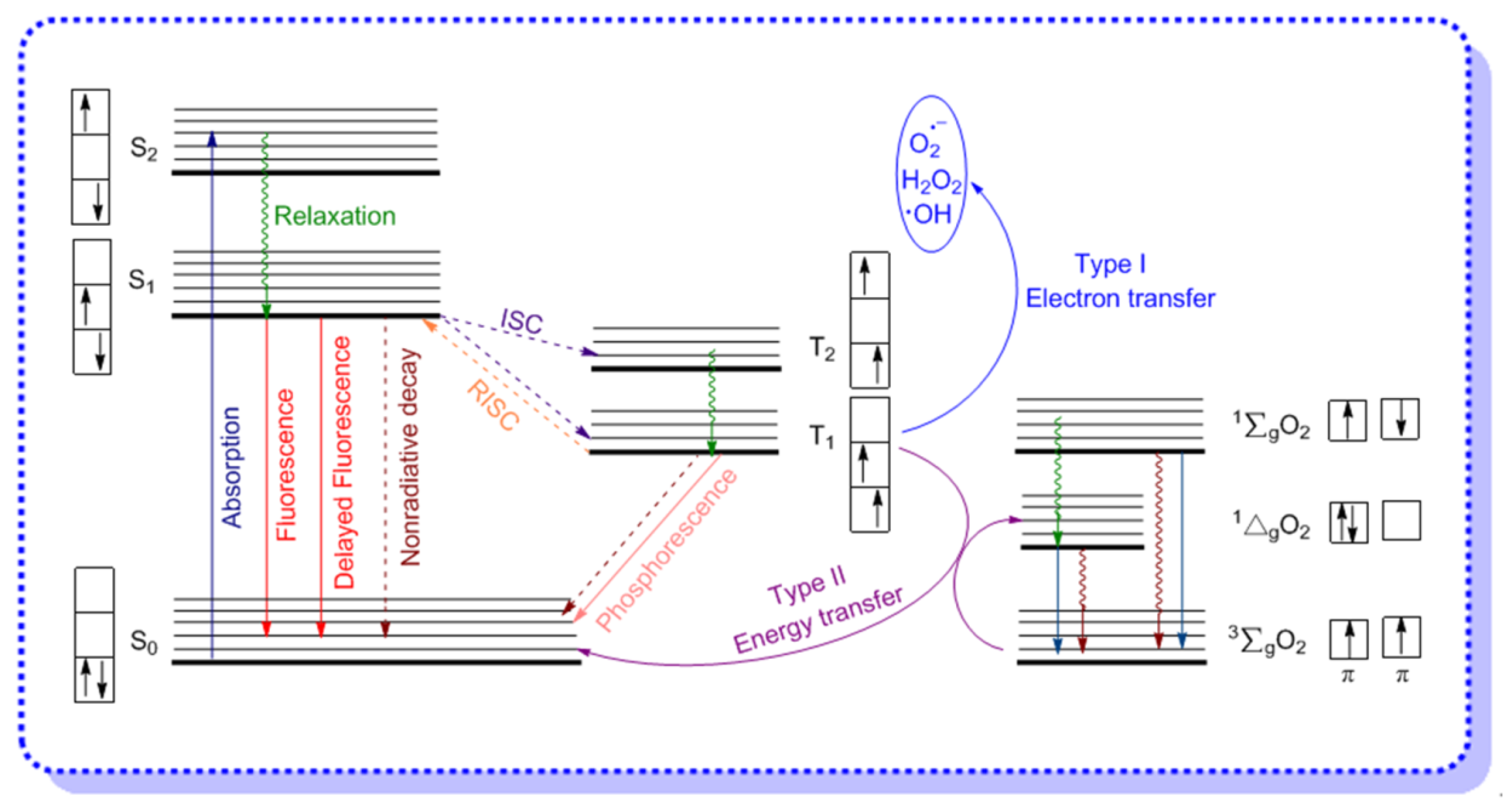 Molecules 26 00268 g002 Molecules 26 00268 g002