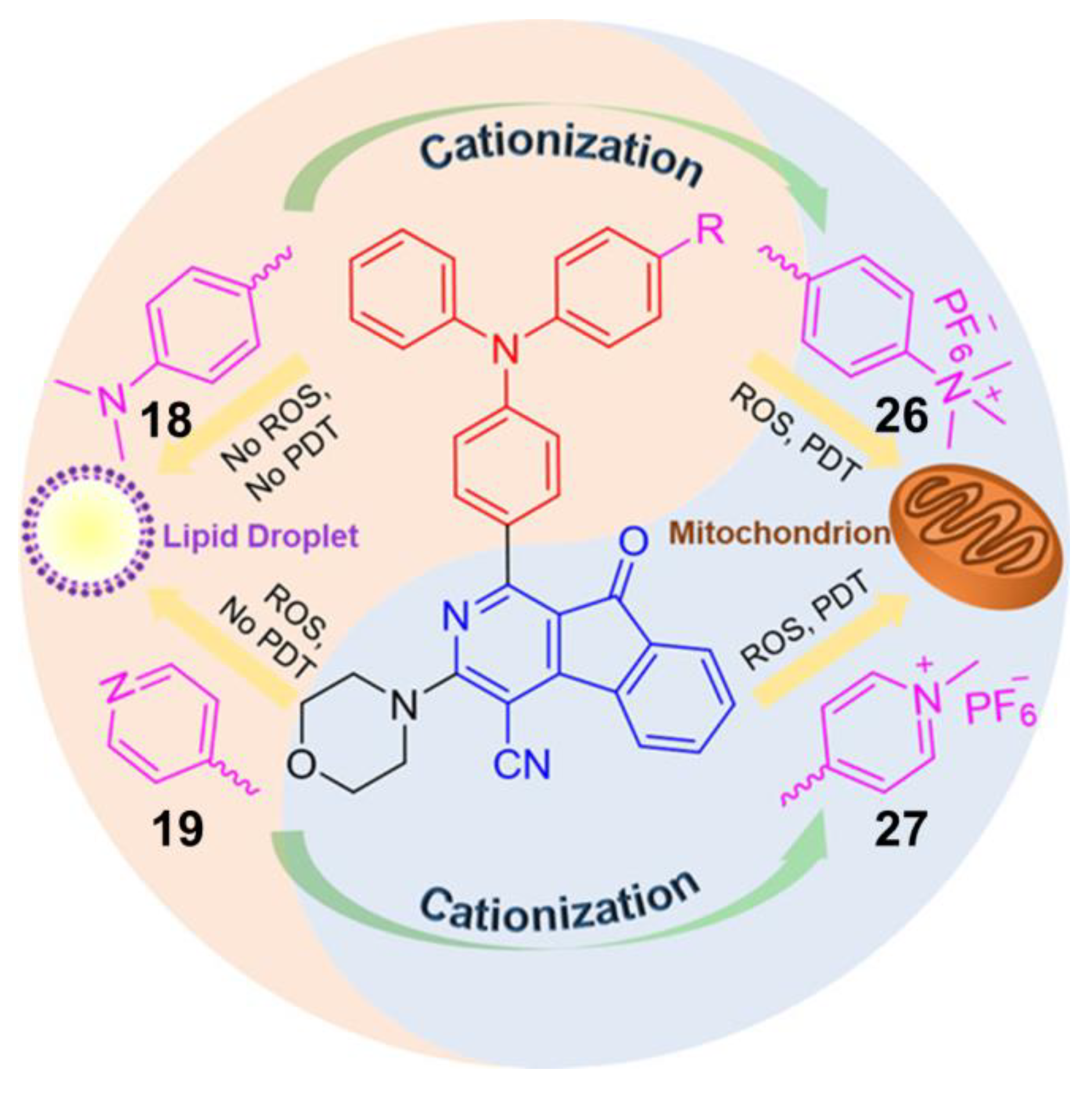 Molecules 26 00268 g009 Molecules 26 00268 g009